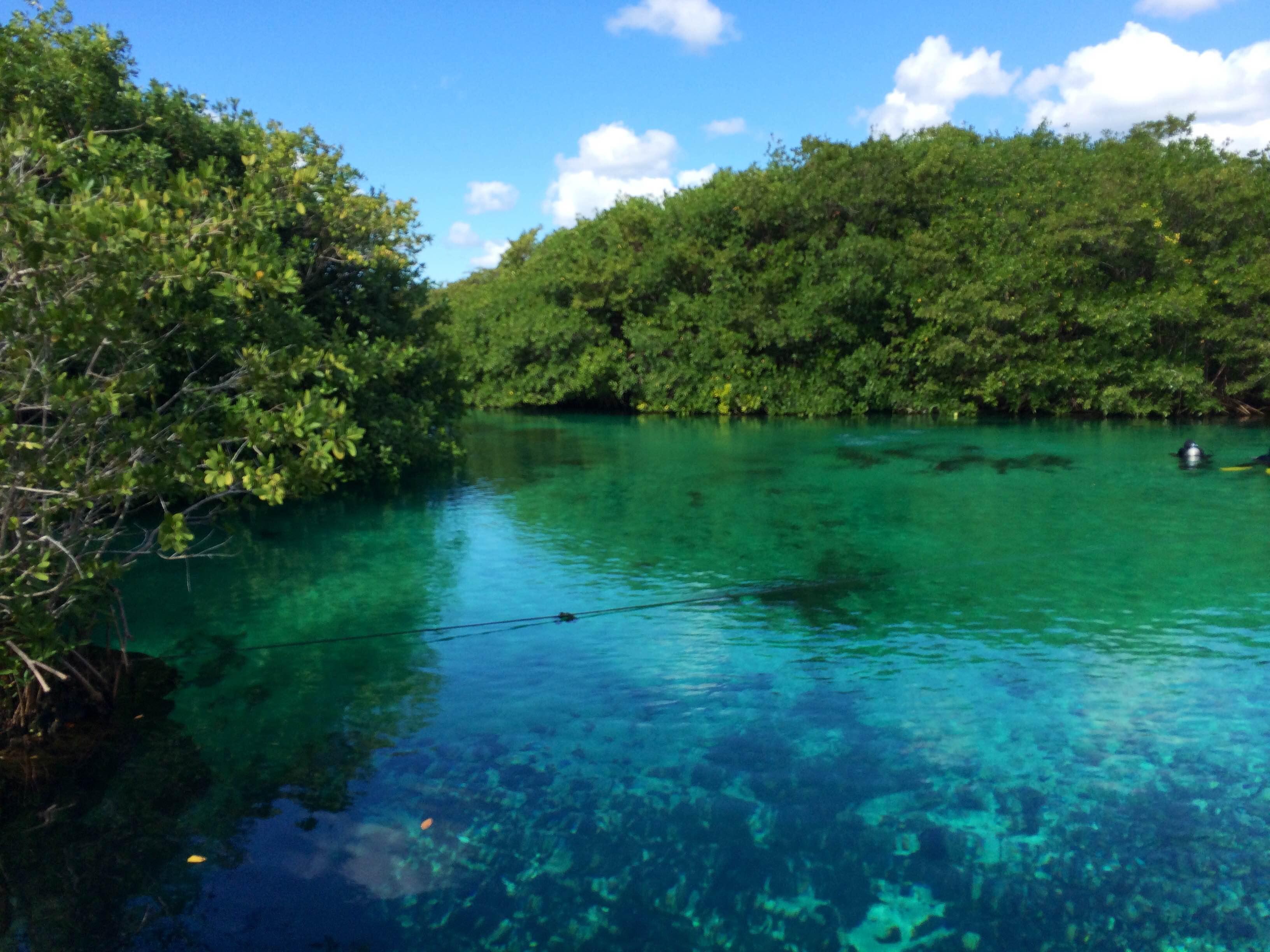 Cenote Tankah (Casa Cenote), por Fulvio Mammana