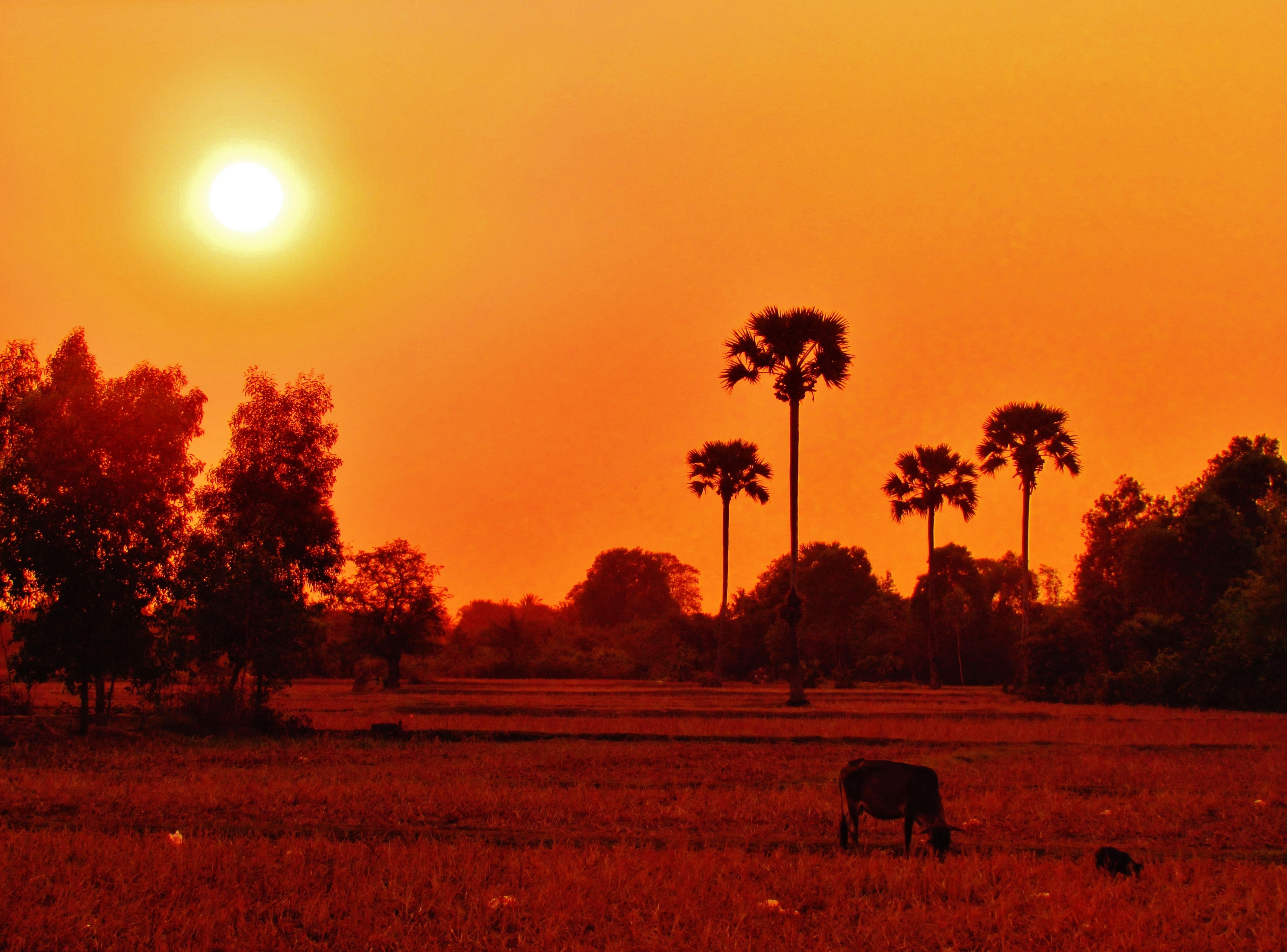 Kampot, por Albert Gràcia