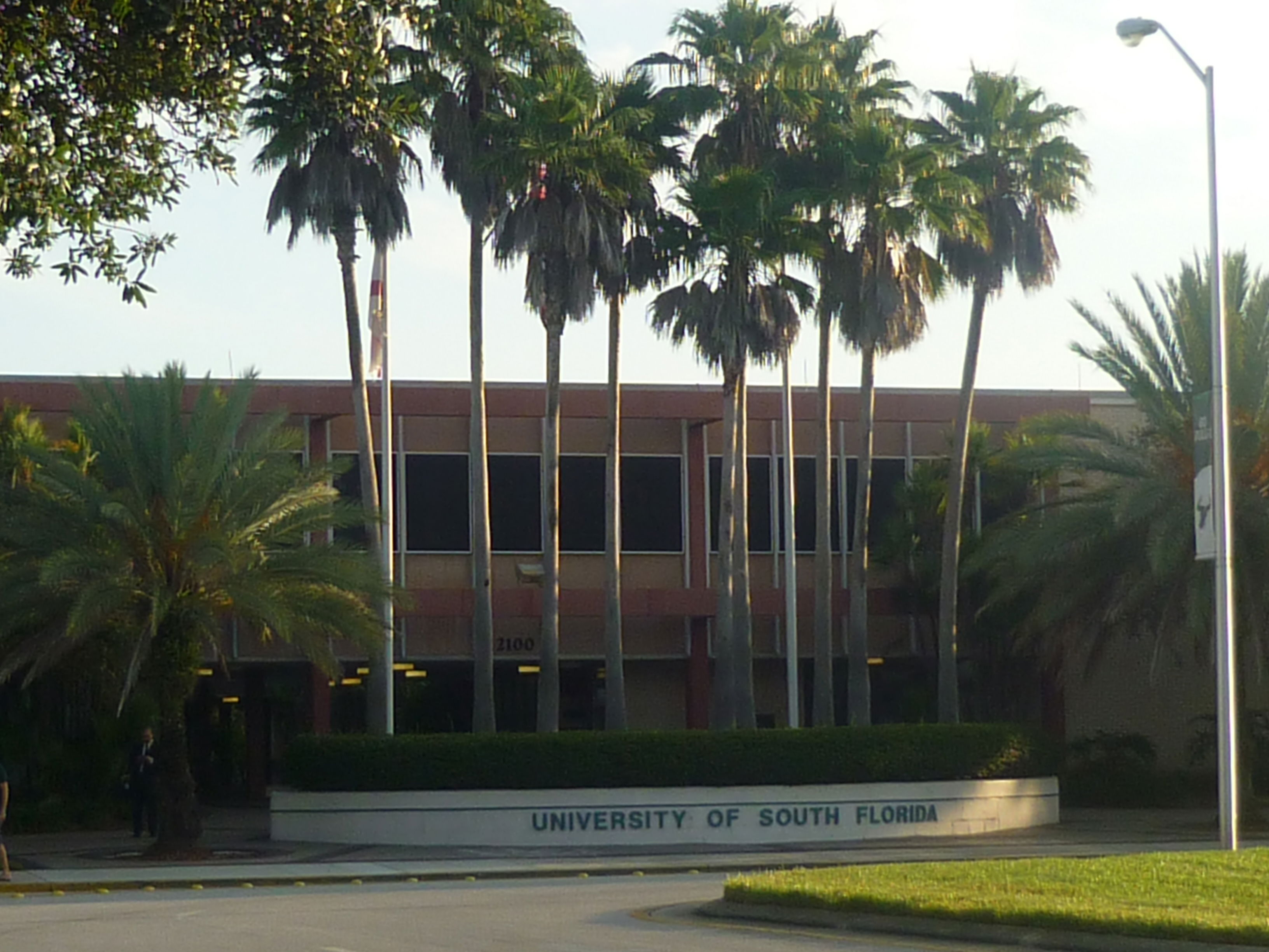 El campus de la Universidad de South Florida, por Coline