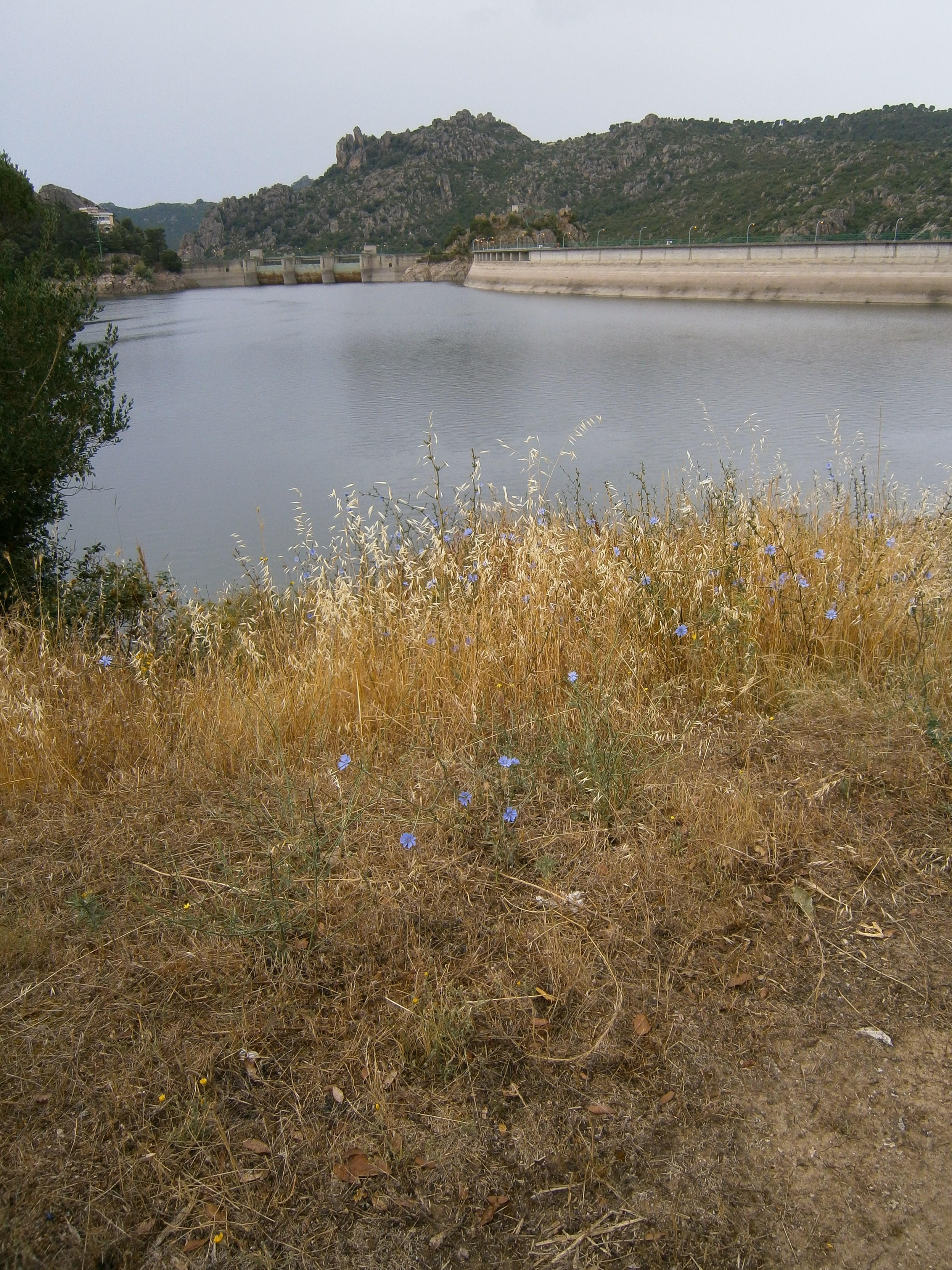 Lago di Gusana, por Grace