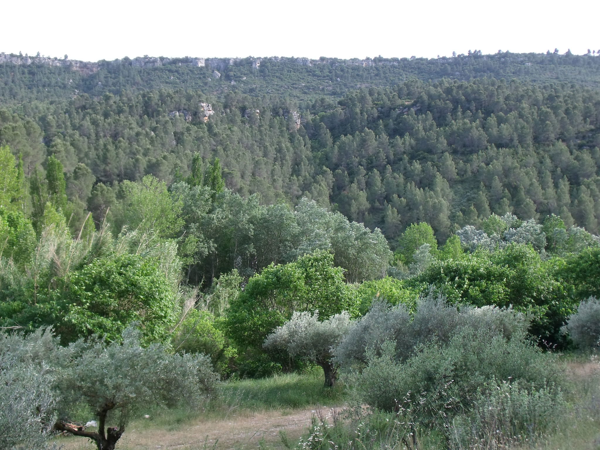 Ruta "Cañones del río Júcar", por sala2500