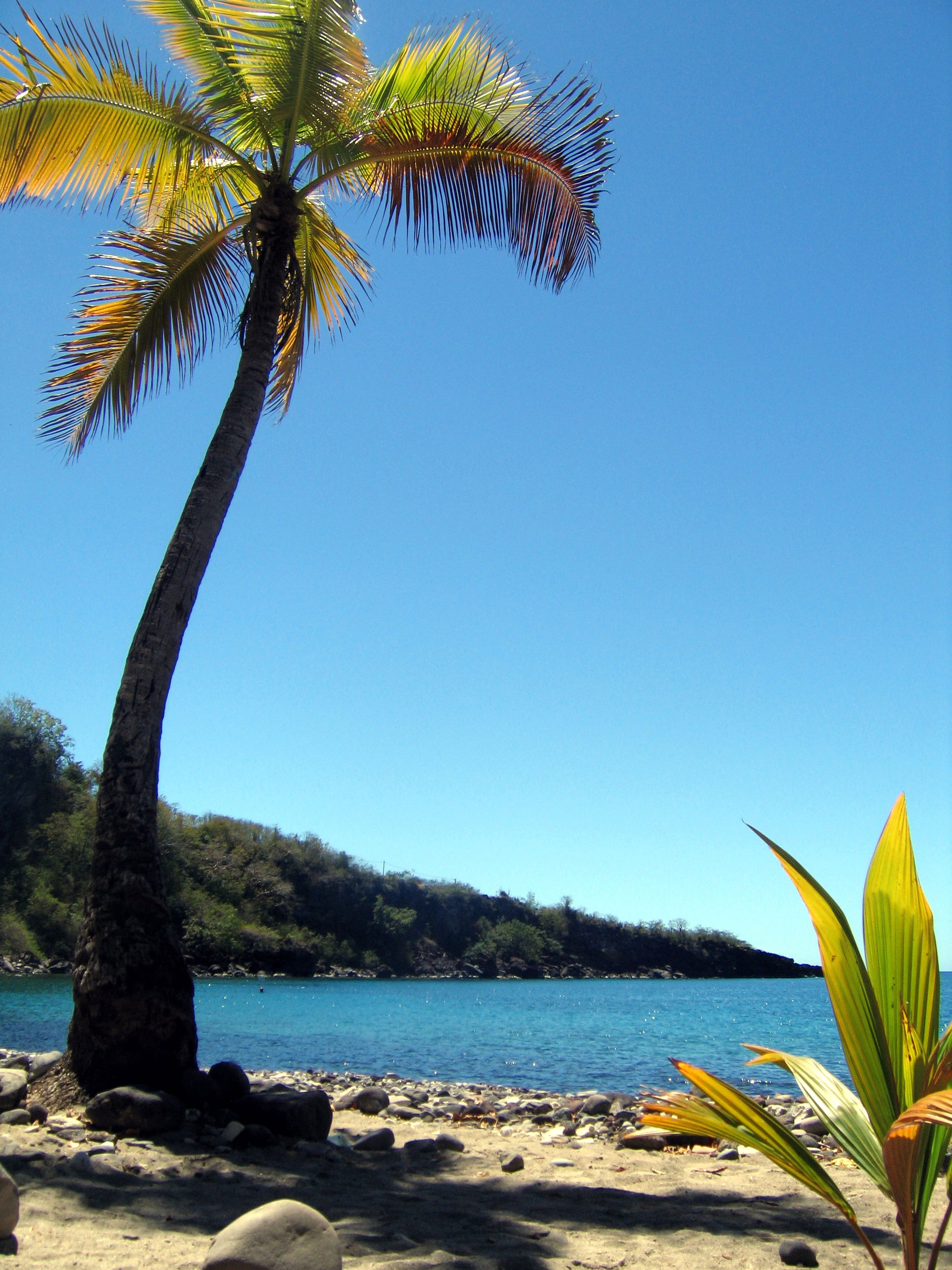 Playa de Petite Anse, por Sim