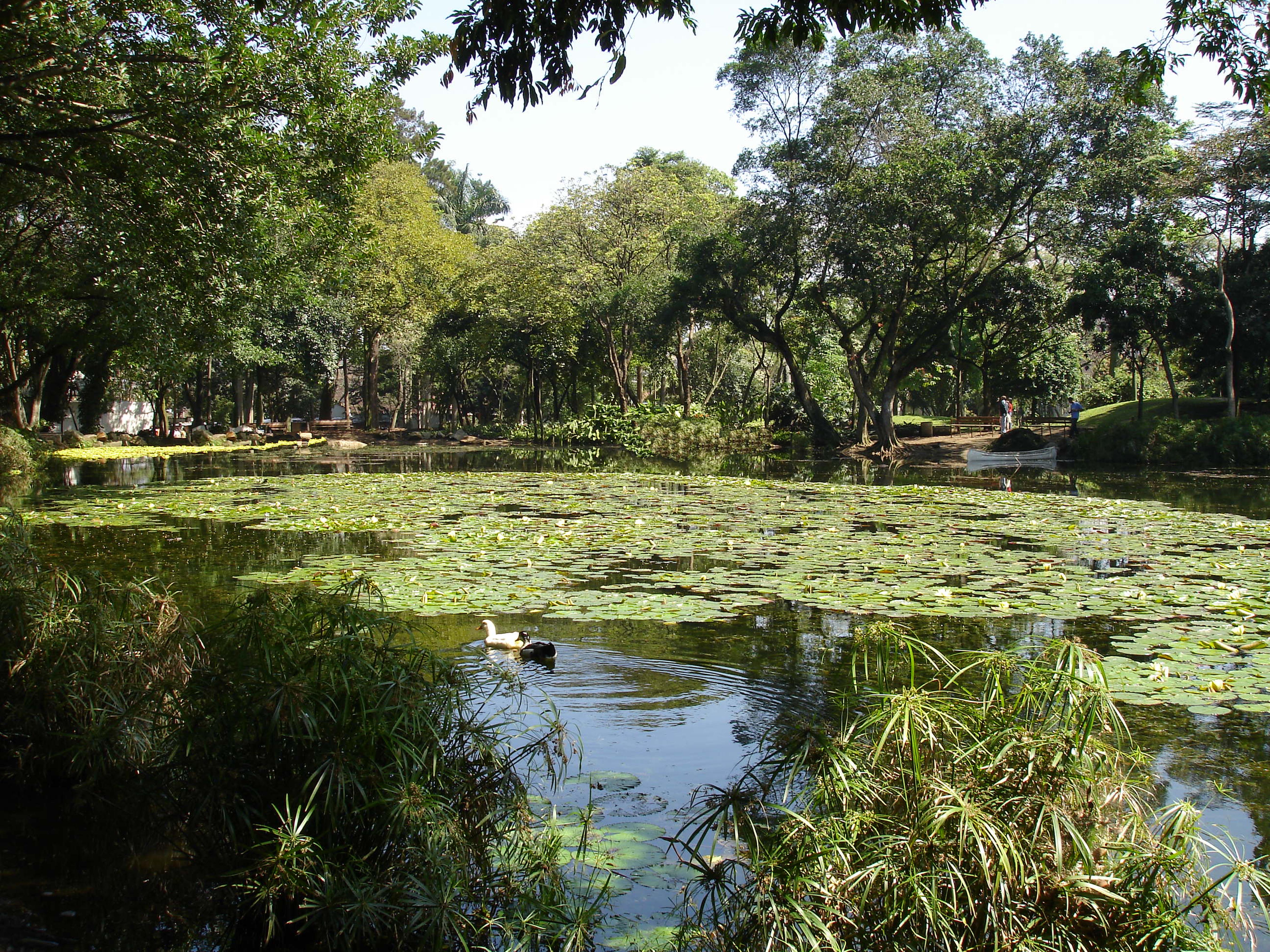 Jardín Botánico, por kate1914