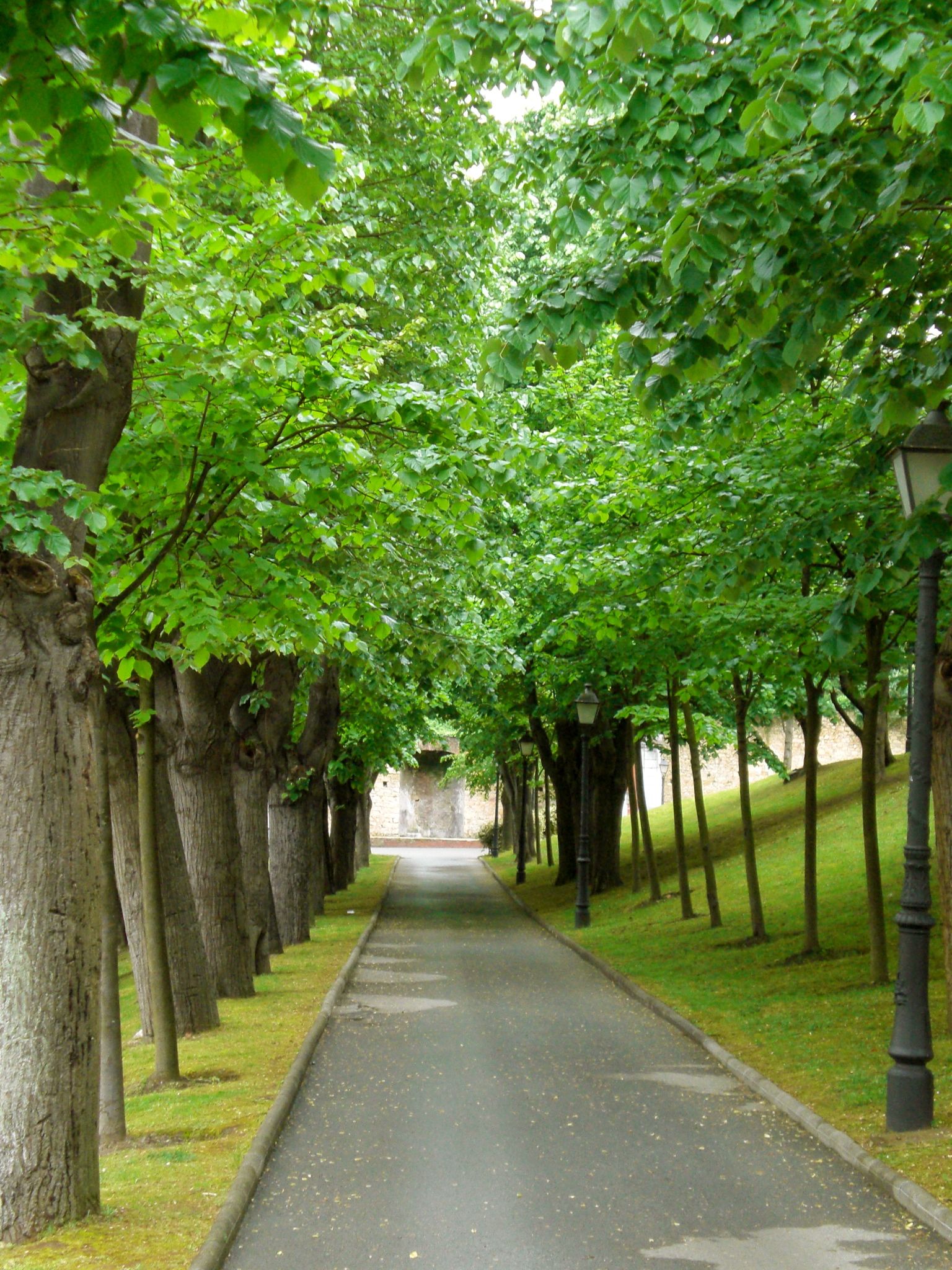 Jardines de la Rodriga, por Leyre Lopez Garcia