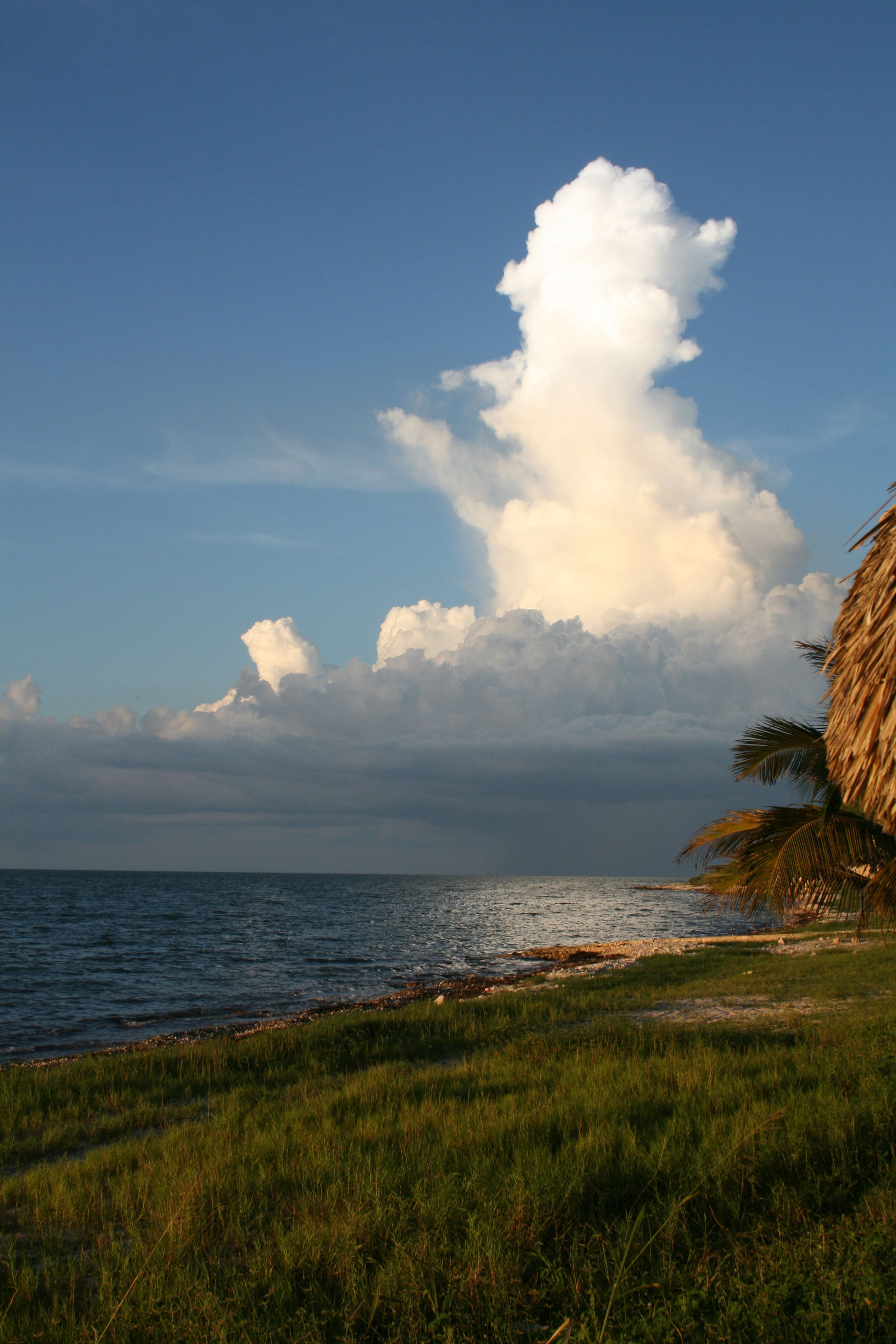 Playa San Lorenzo, por j chanona