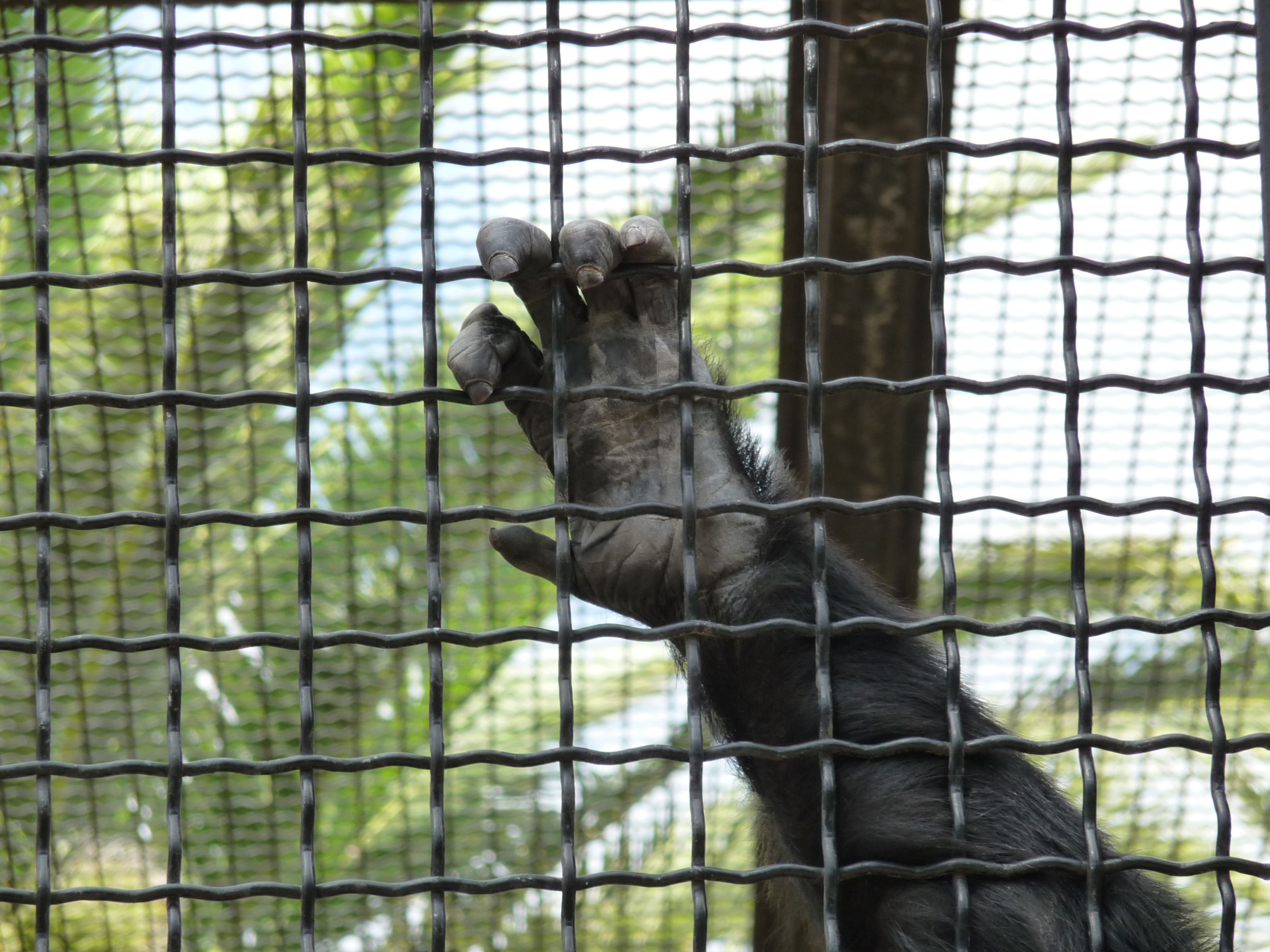 Zoobotánico, por jmpeijim