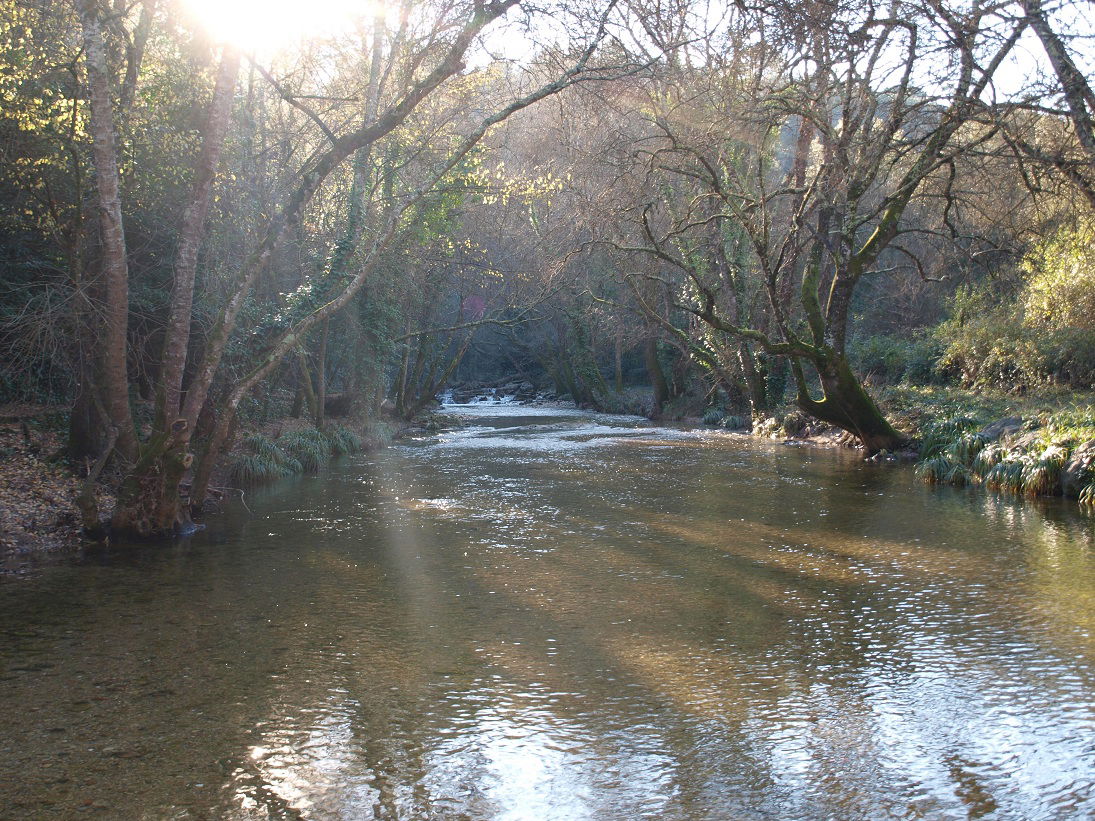 Valle de la Brague, por george sand