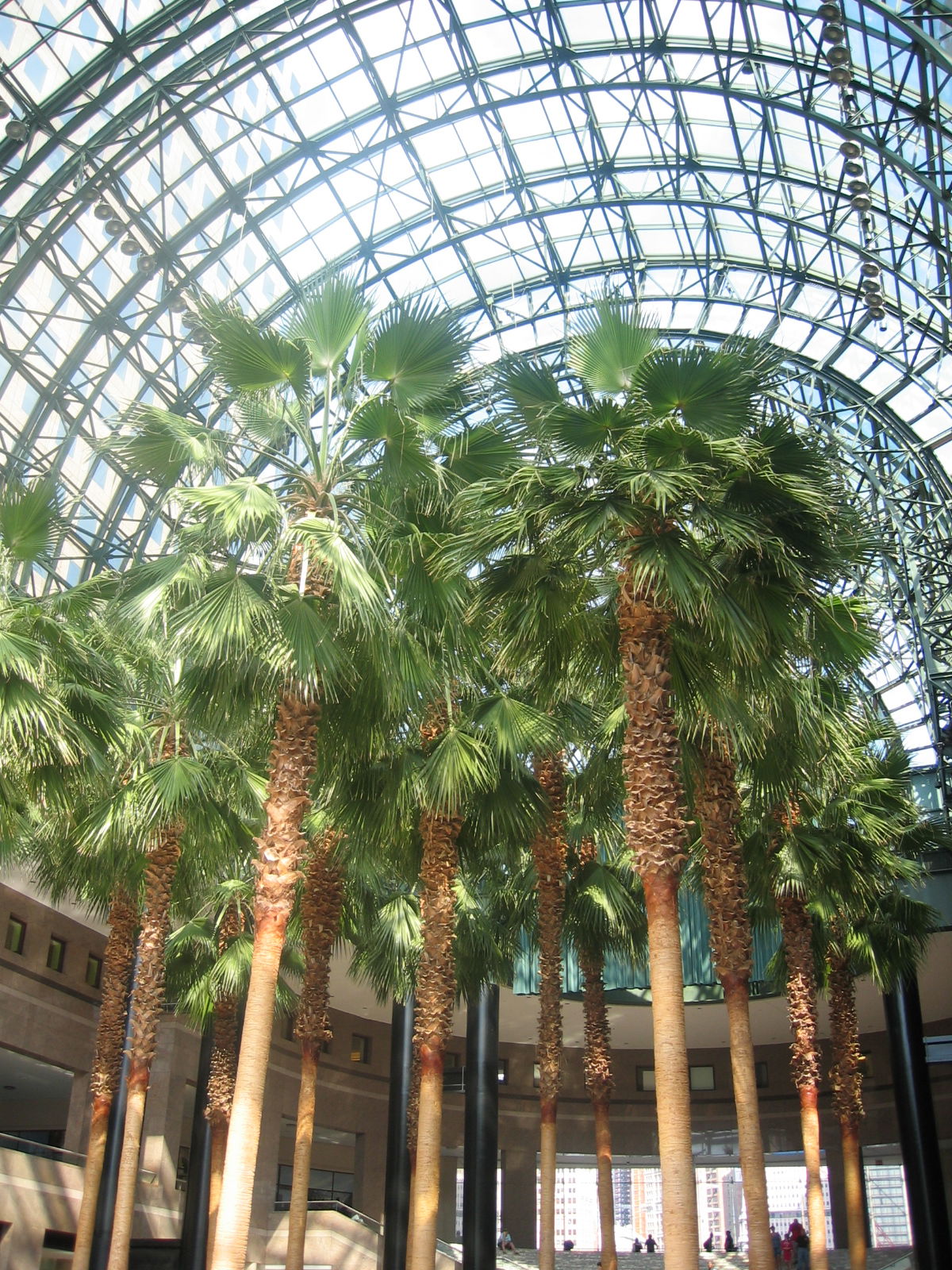 Winter Garden WFC NYC, por Rosyta
