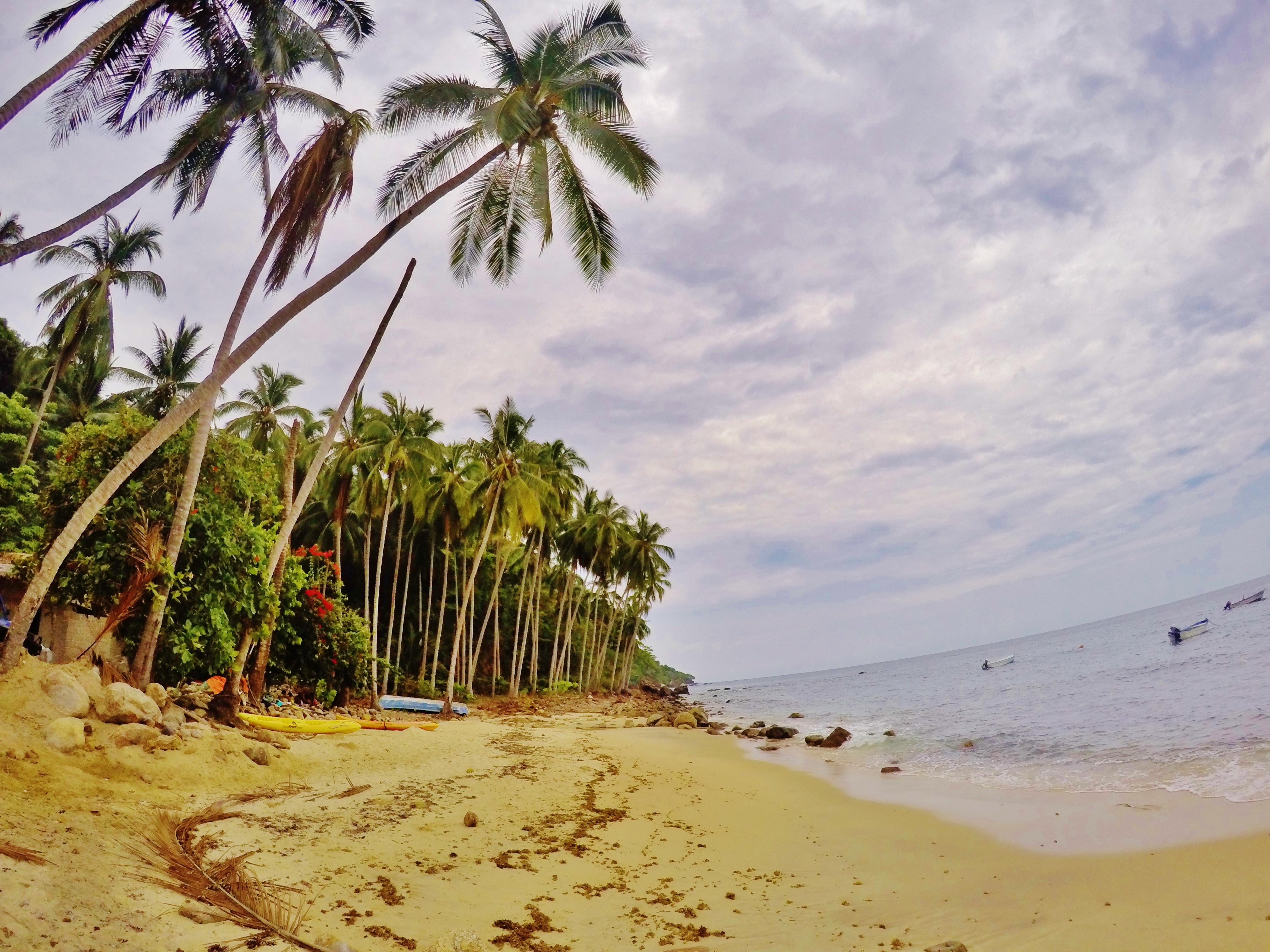 Playas de Jalisco: Descubre el paraíso costero y su diversidad