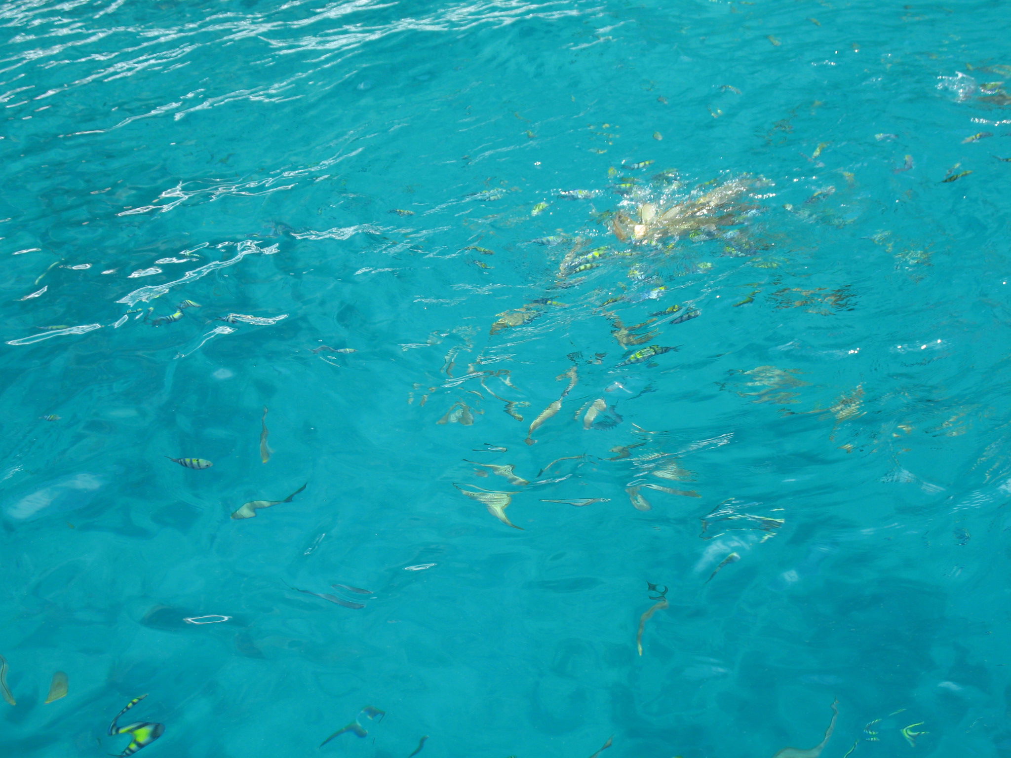 Laem Tong Bay, por miguel a. cartagena