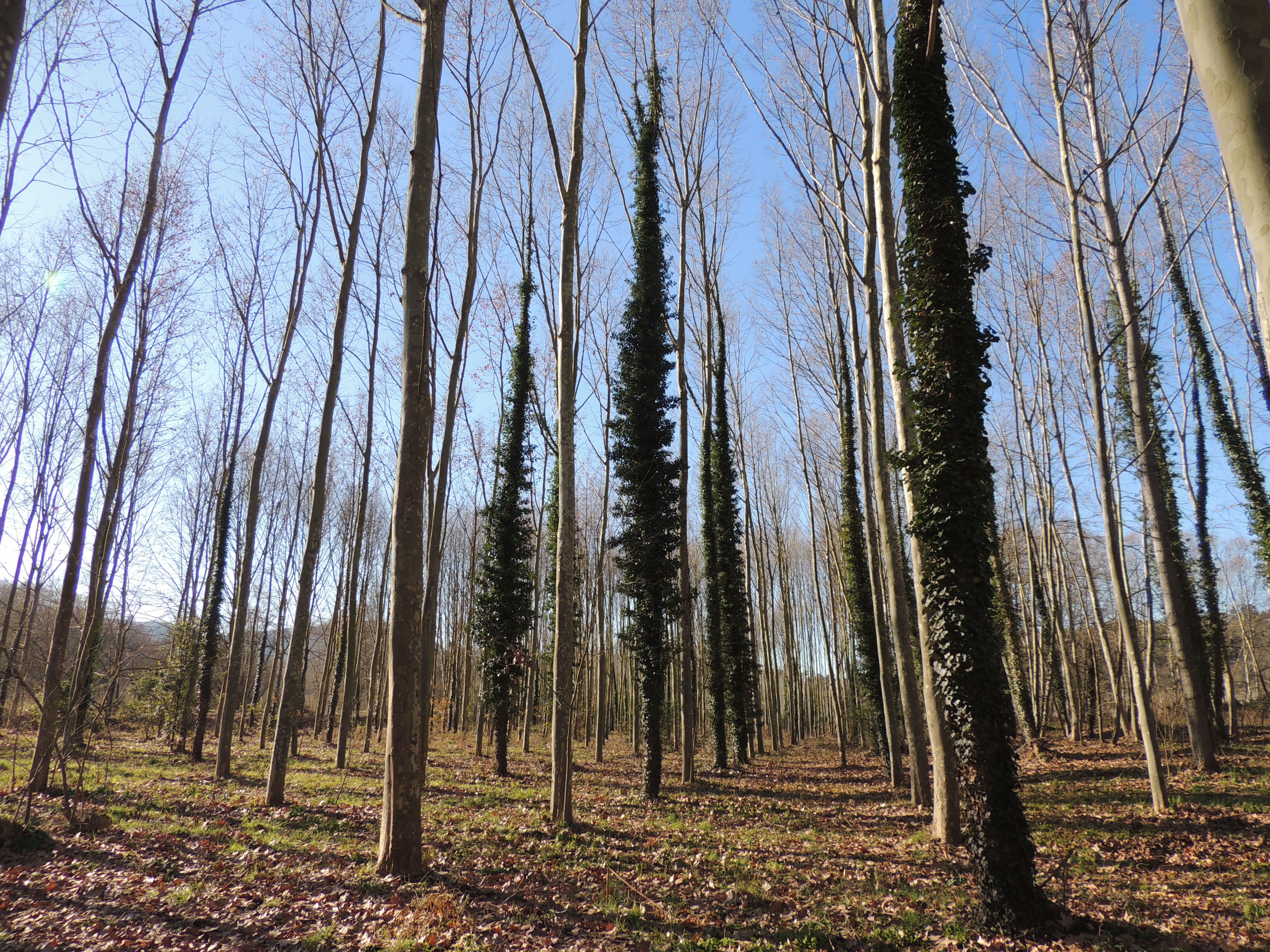 Parc de Les Rieres, por Dónde vamos Eva