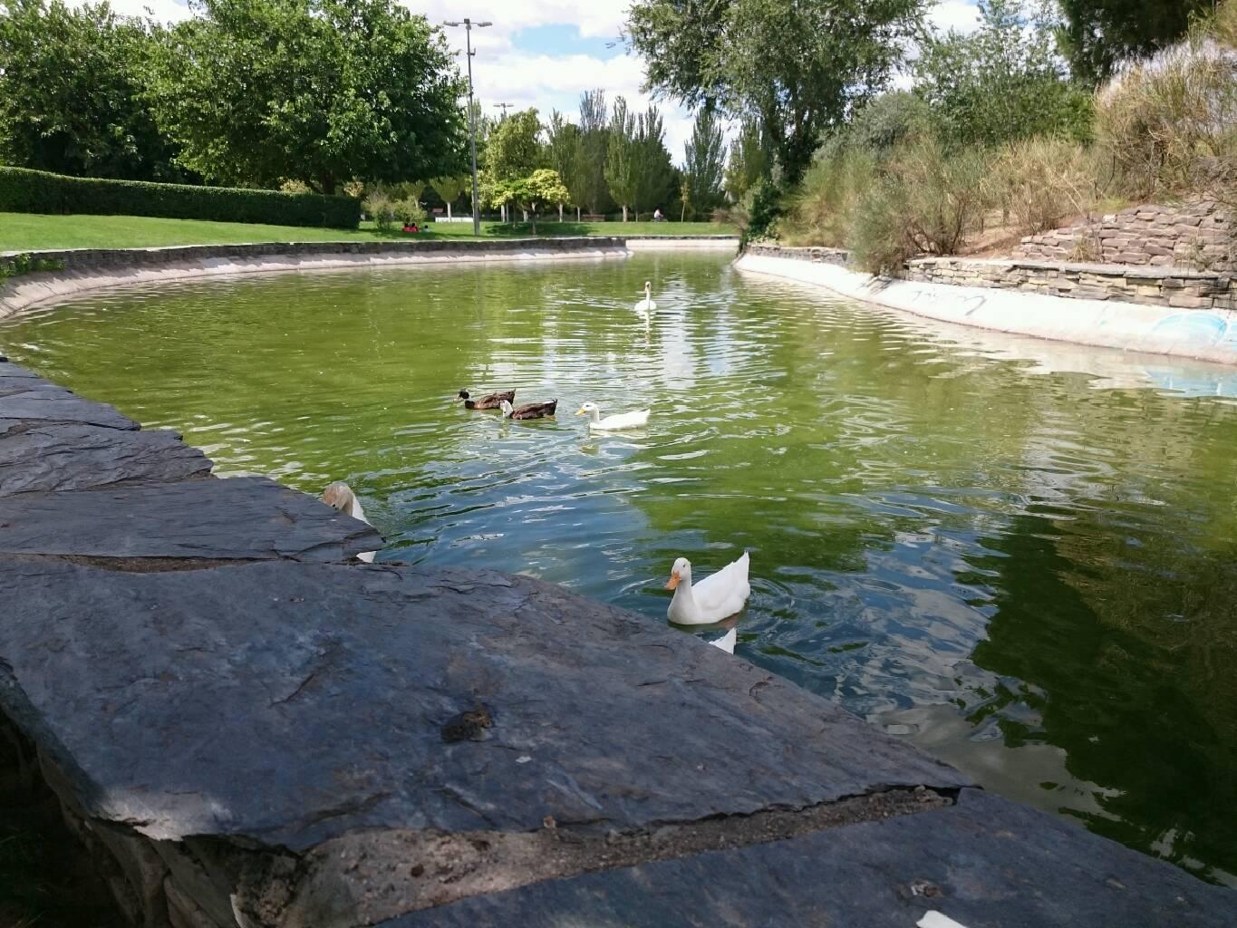 Parque del Ocio, por Jose Luis Mena