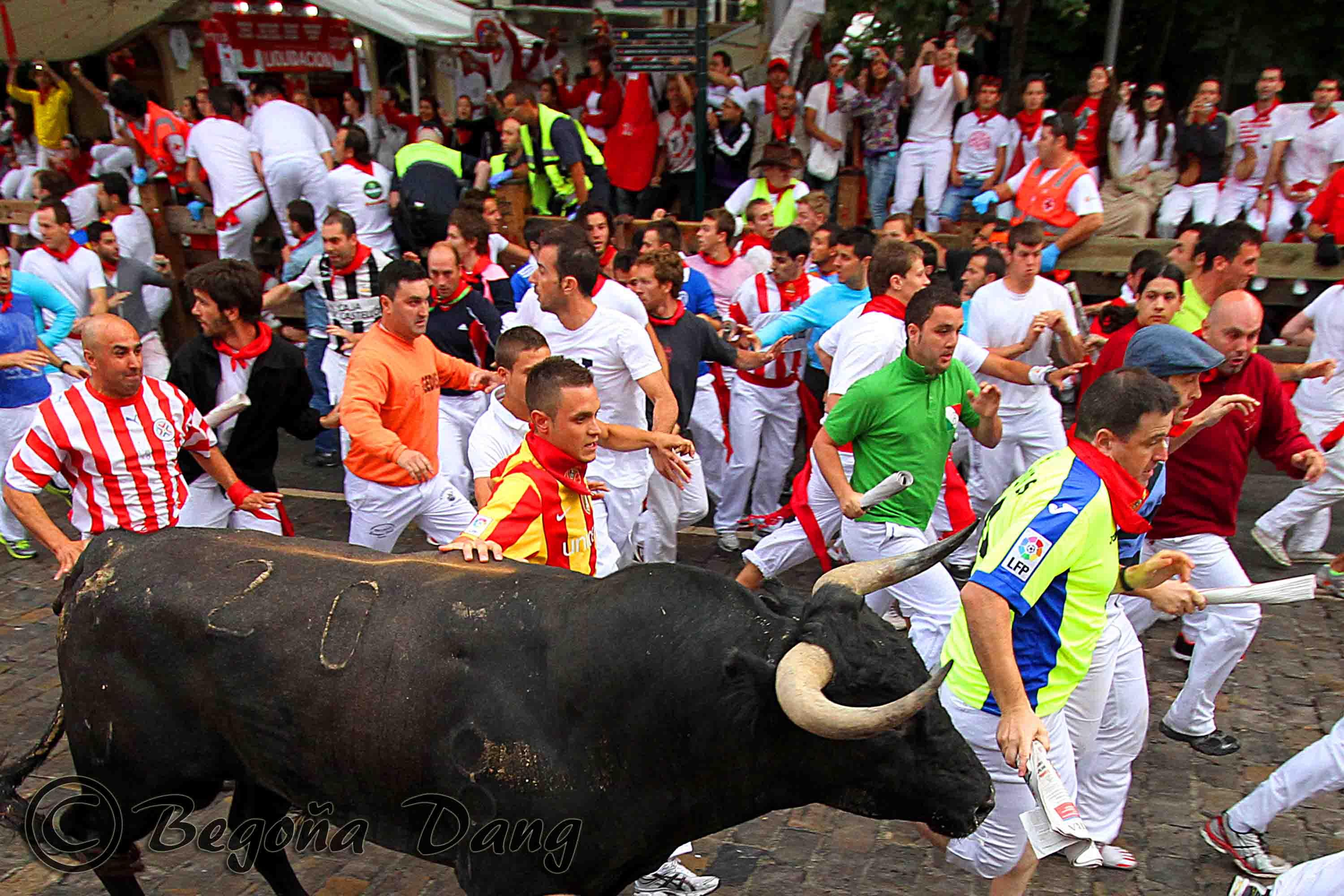 Encierro de Pamplona, por begoña dang