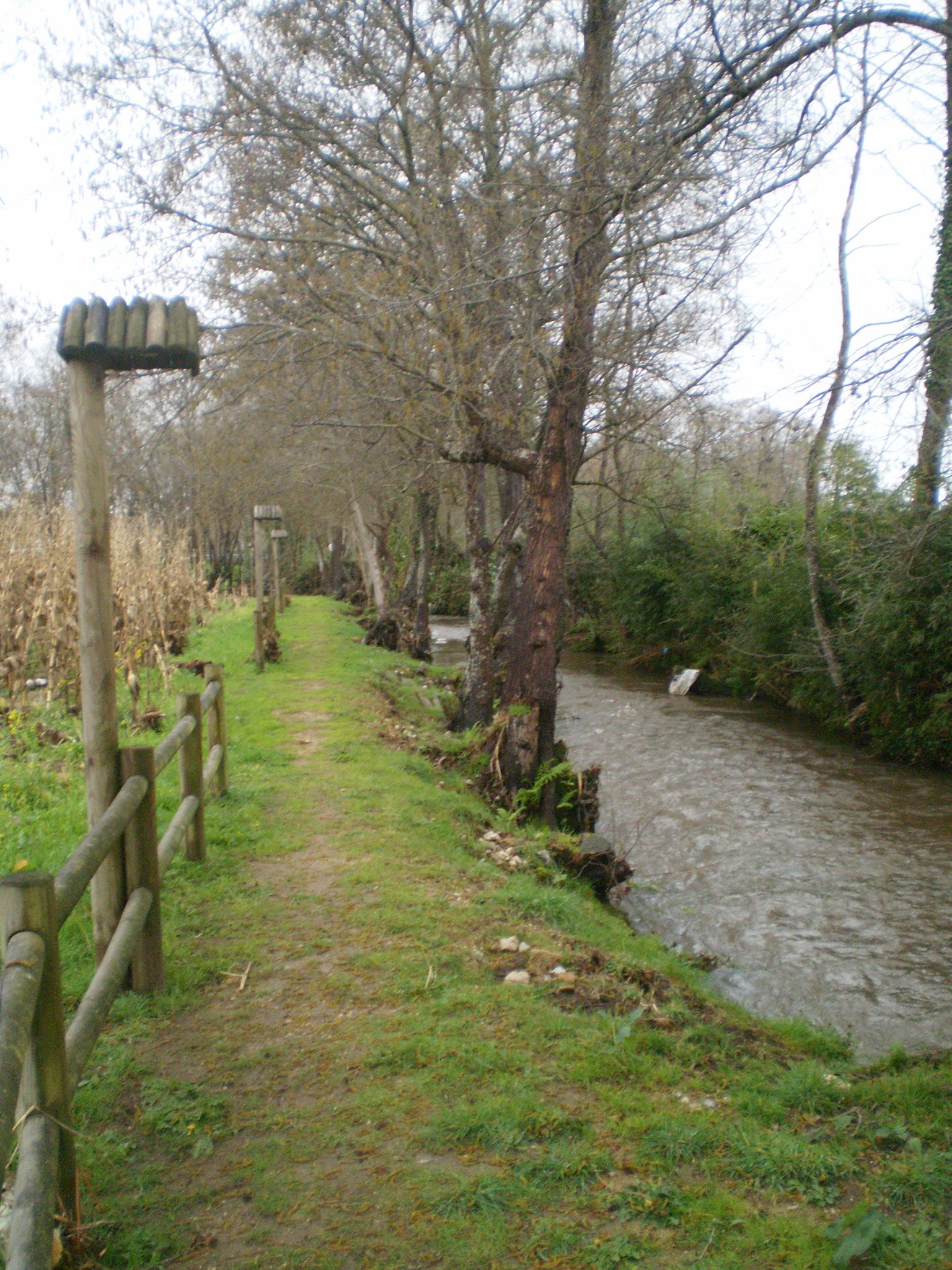 Paseo Fluvial de Barrantes, por Sasa72