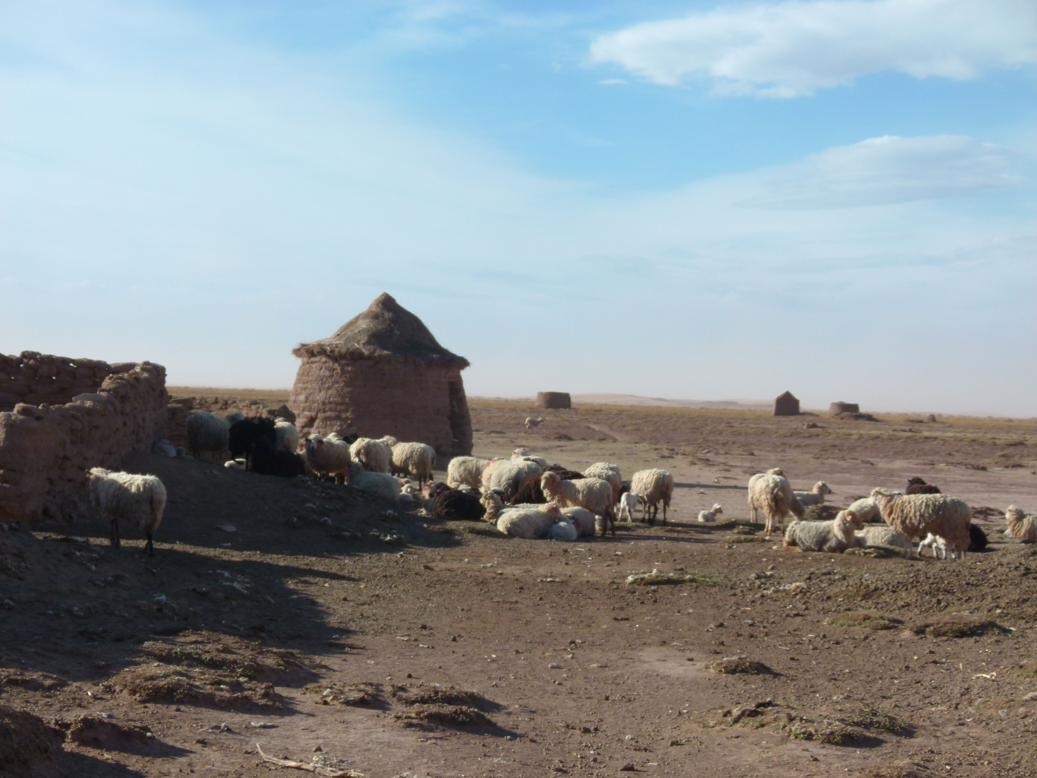 Descubre la riqueza cultural de los pueblos en Oruro y su historia