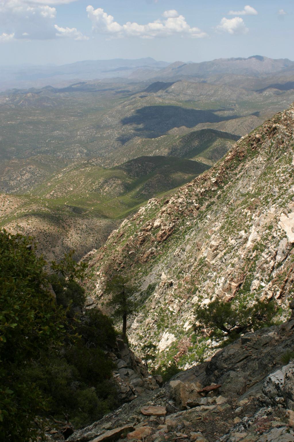 Parque Nacional Sierra de San Pedro Mártir, por Pamela Weston