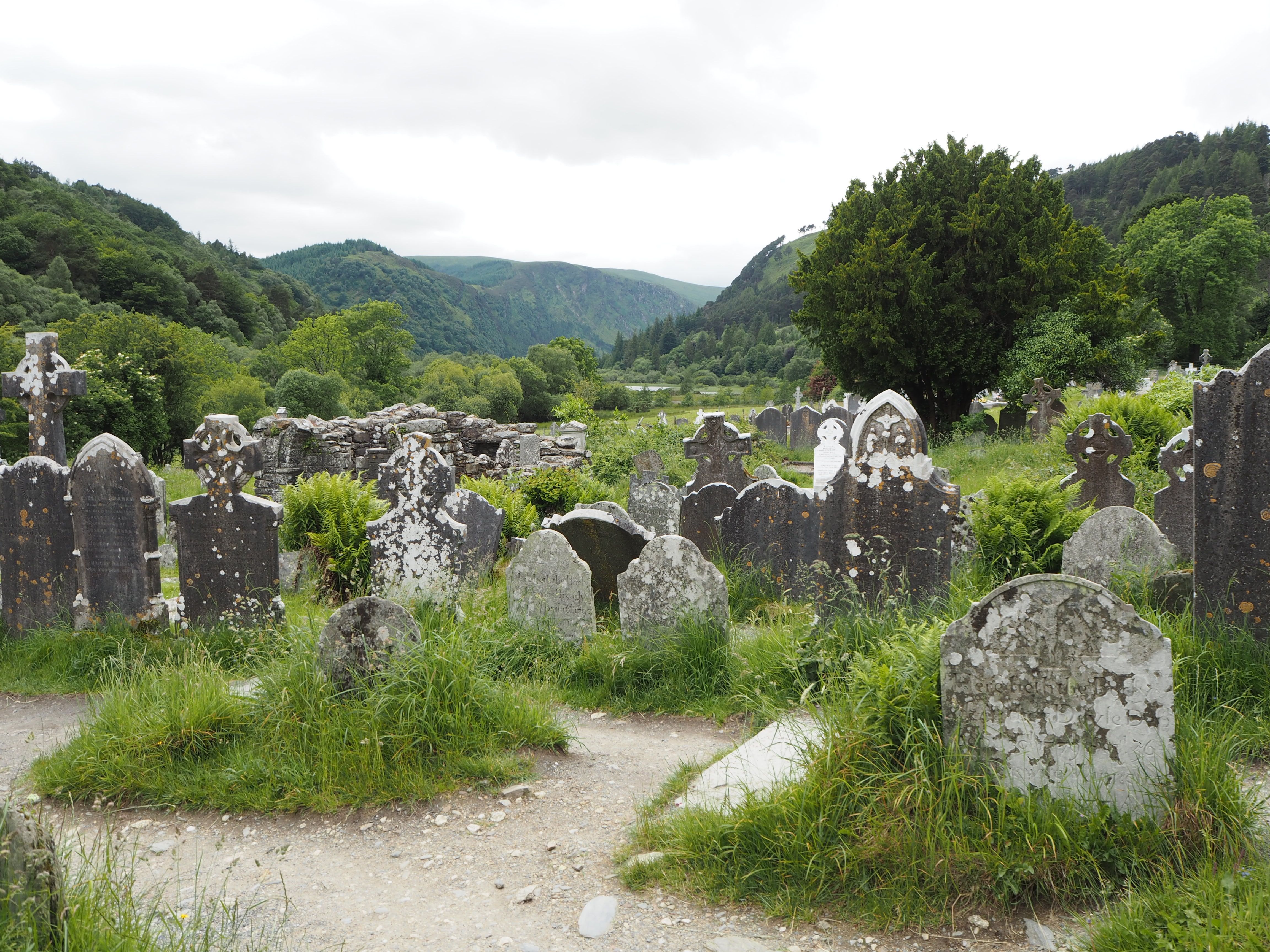 Montes Wicklow, por Laia Costa