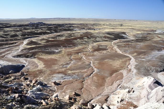 Parque Nacional del Bosque Petrificado, por albertoloyo