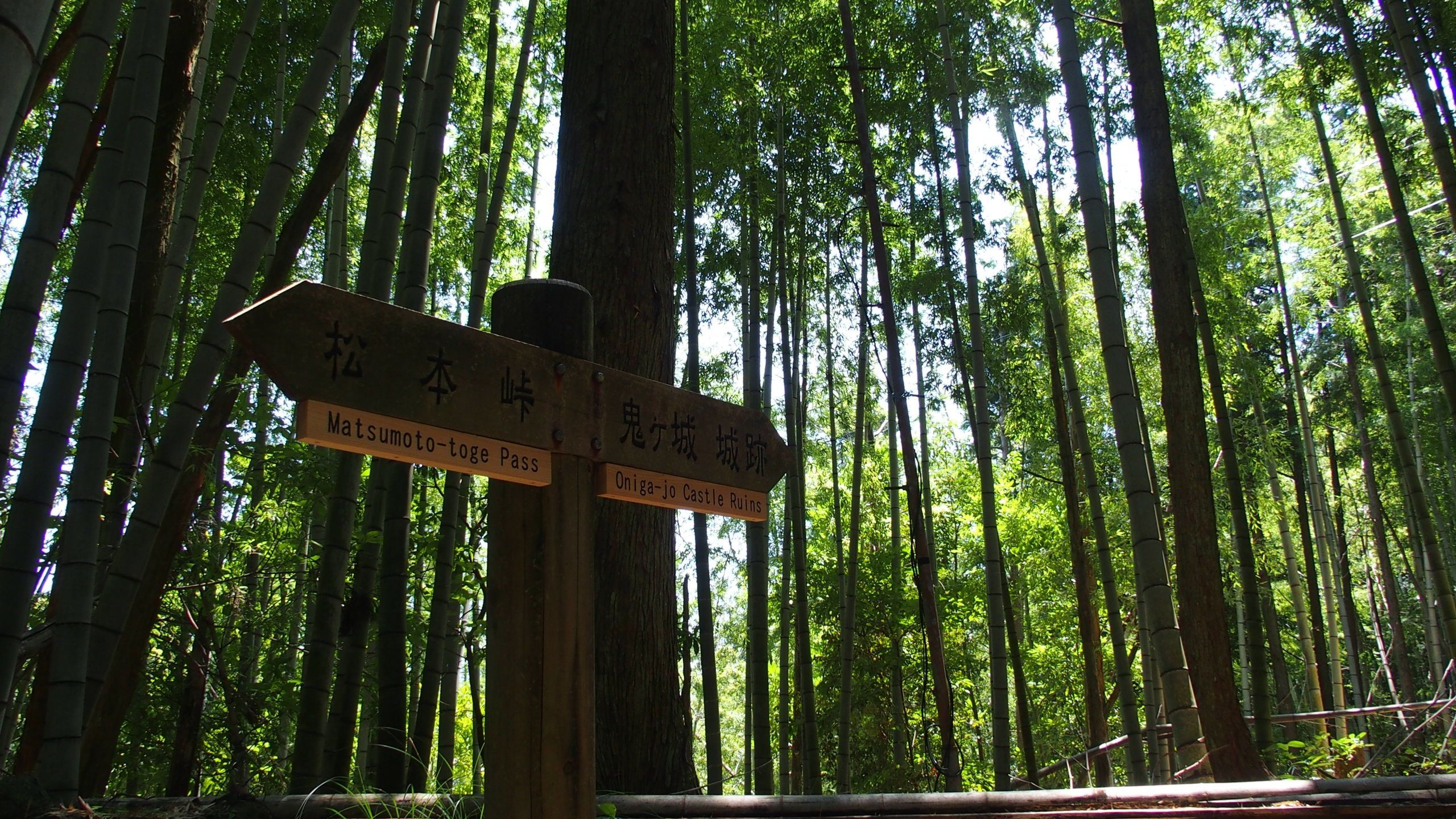 Kumano Kodo Magose Pass, por JOSE PALACIOS