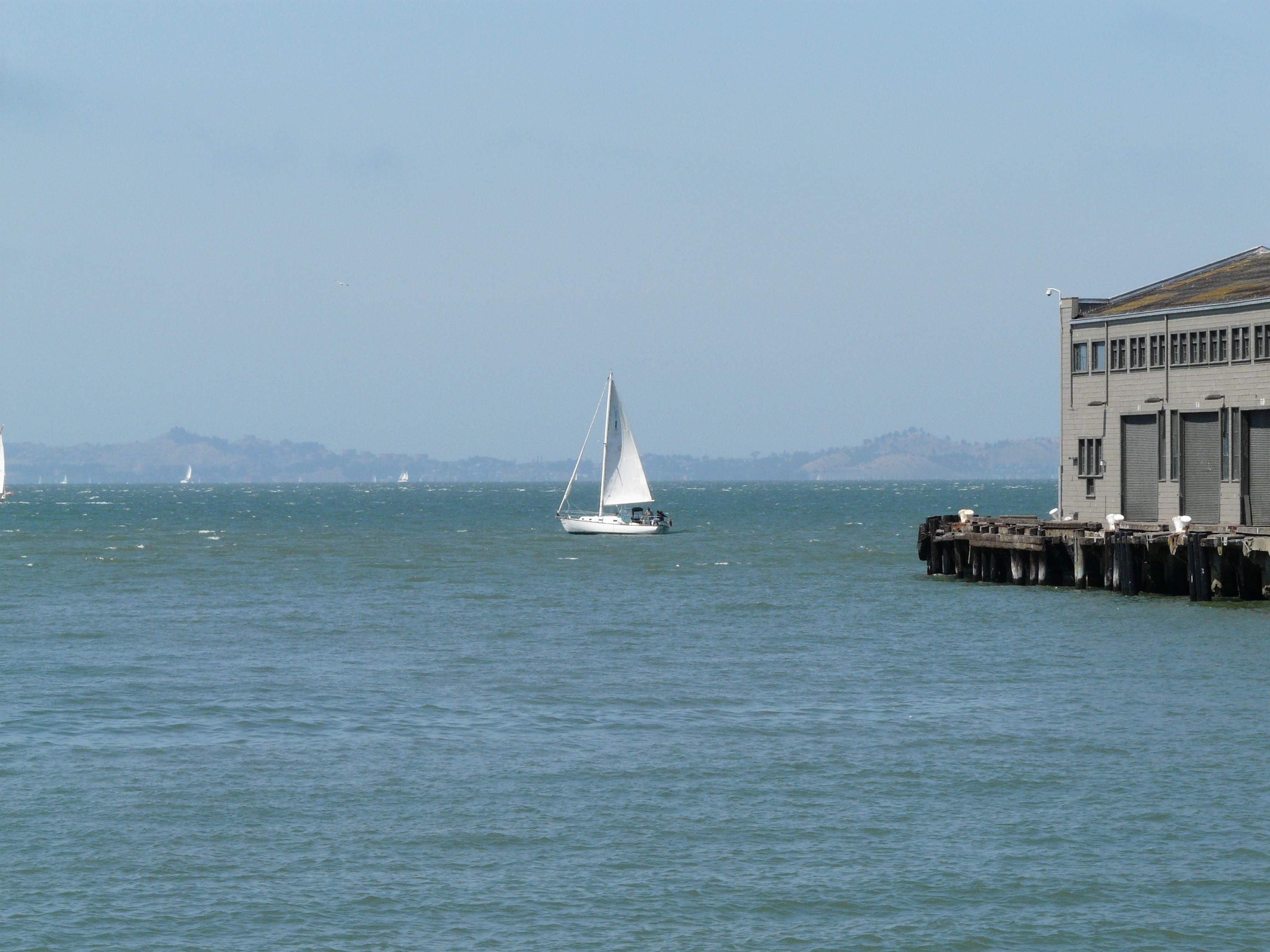 Bahía de San Francisco, por Pedro Jareño