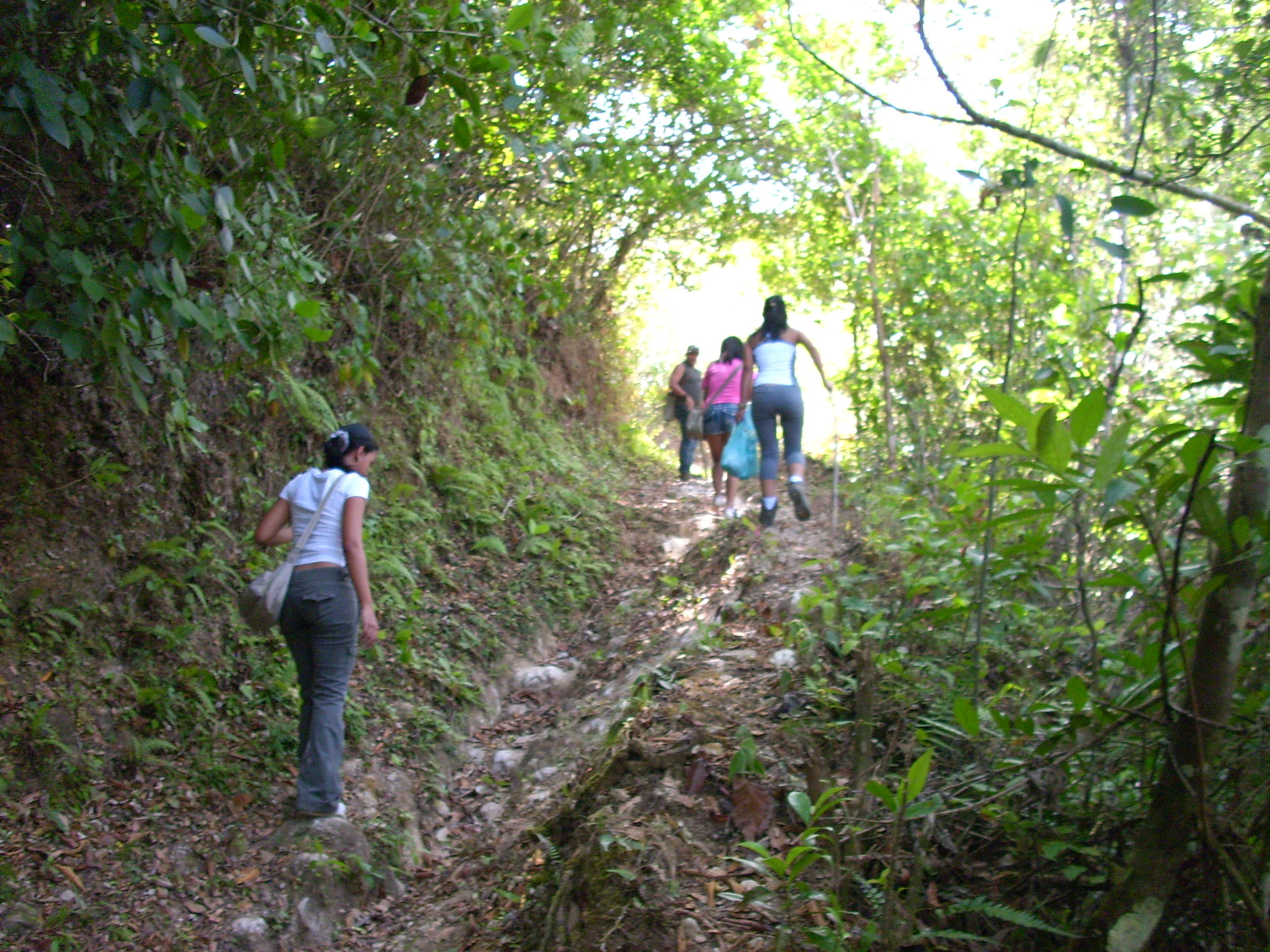 La Laguna de San Carlos, por Panamá: abundancia de peces, mariposas, flores 
