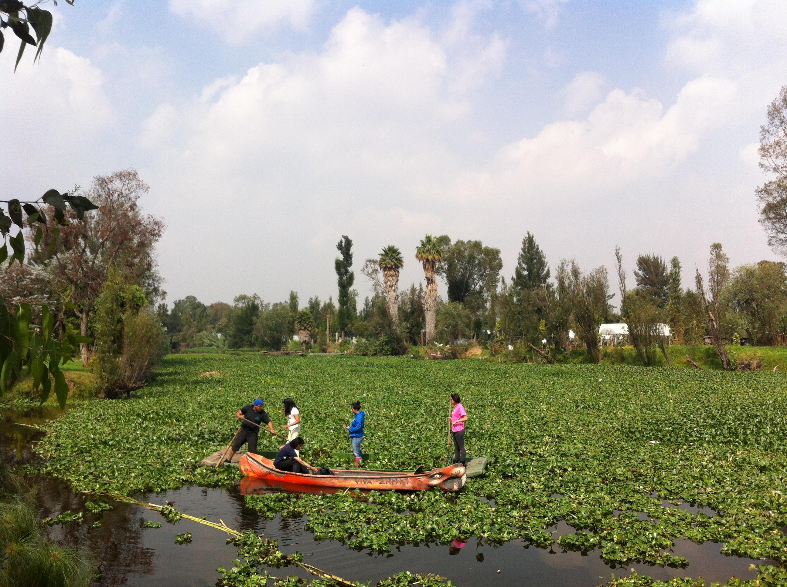 Canales de Xochimilco, por Pita Hernandez