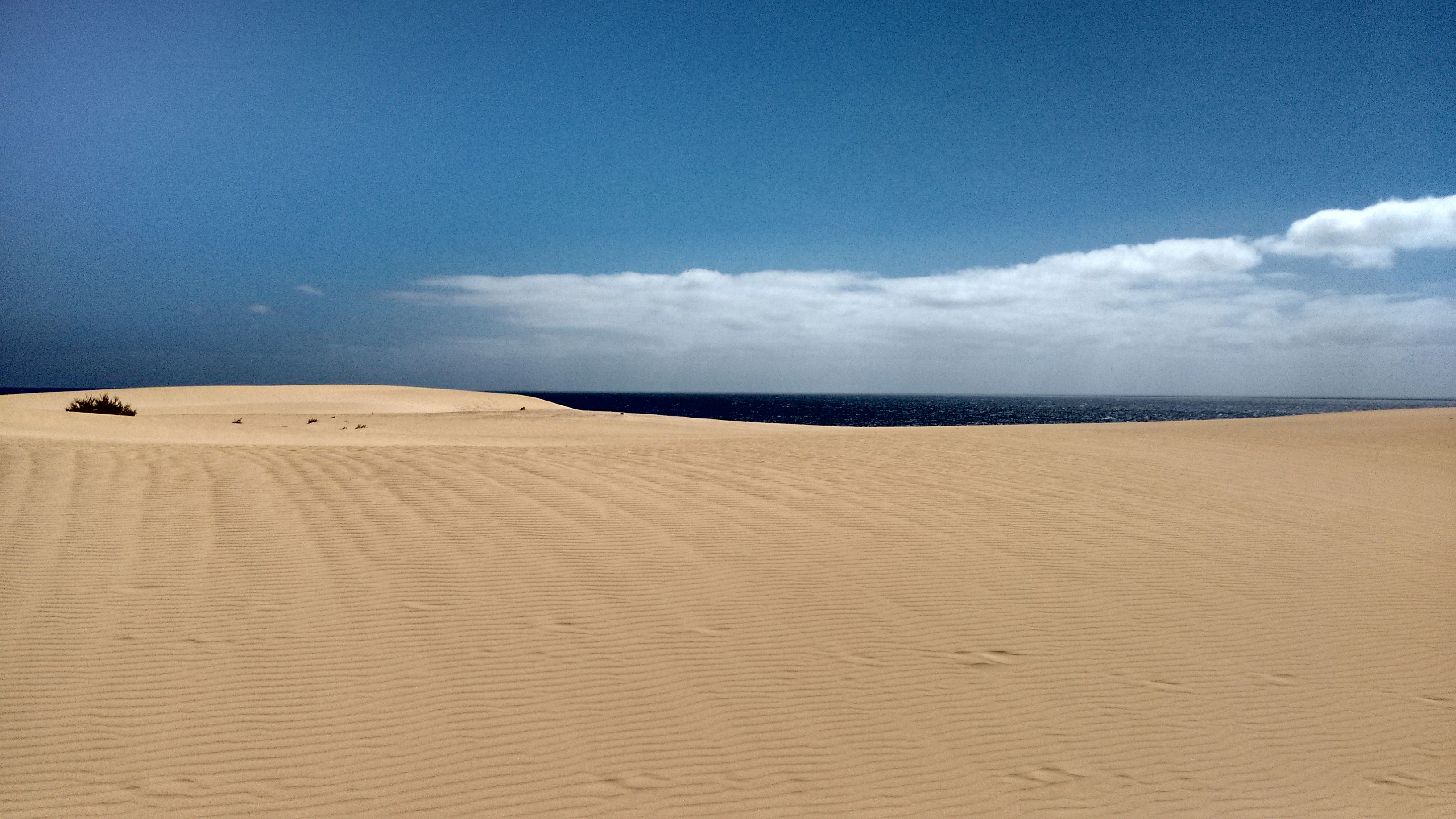 Dunas de Corralejo, por Diego