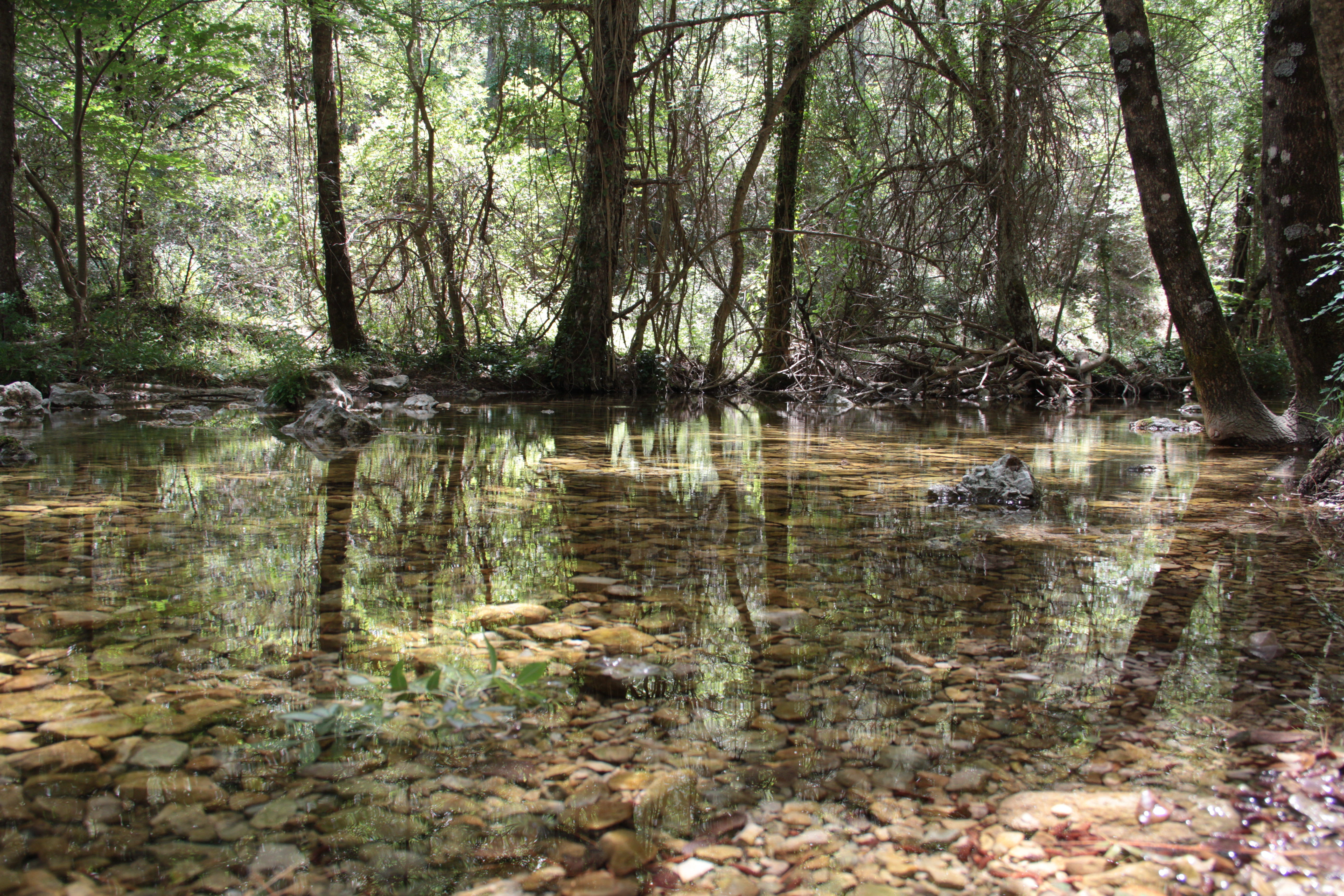 Ríos en Albacete: un viaje por sus paisajes y rincones ocultos