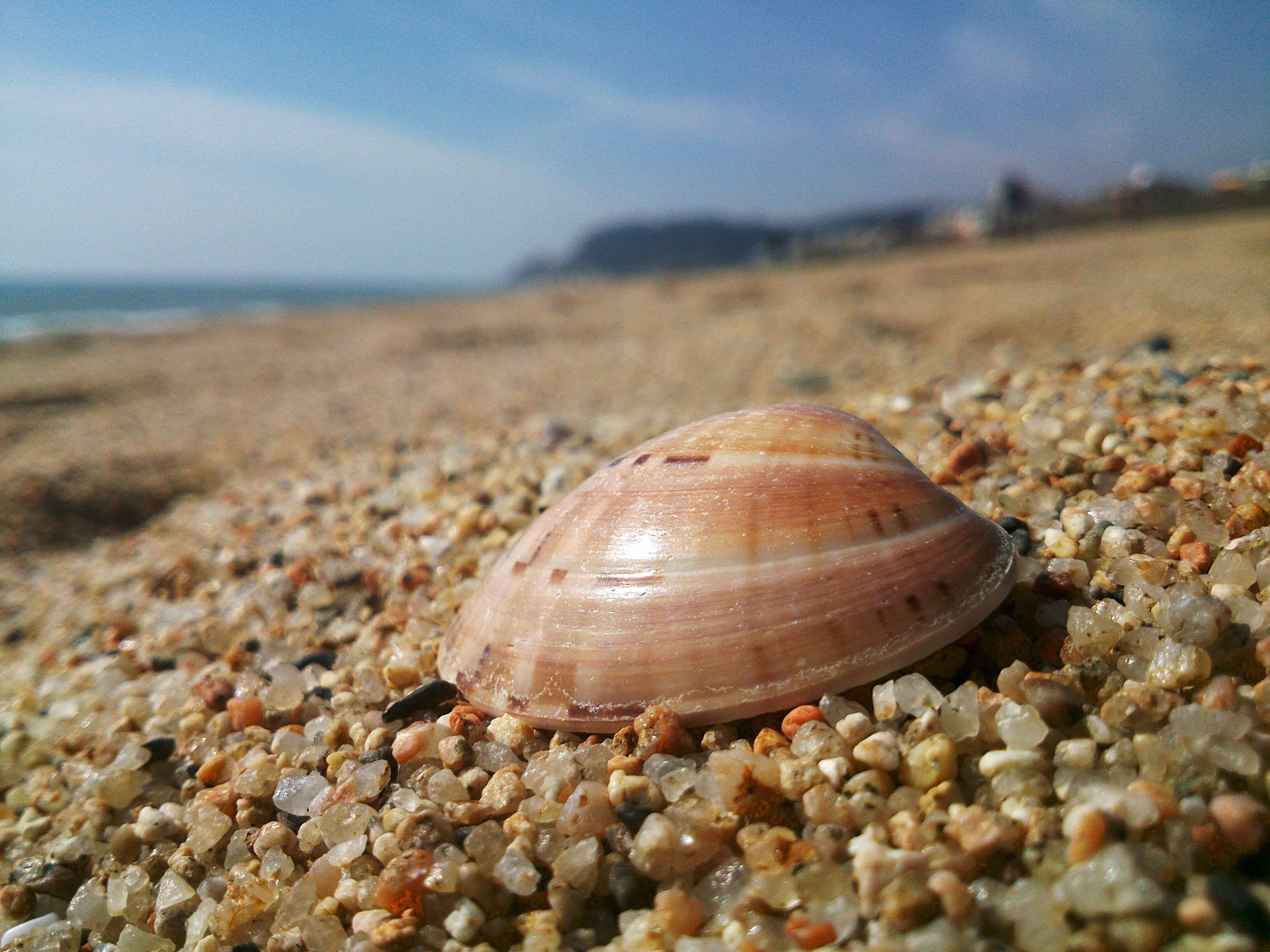 Playa Calella, por Héctor Jordi Jensen Pie