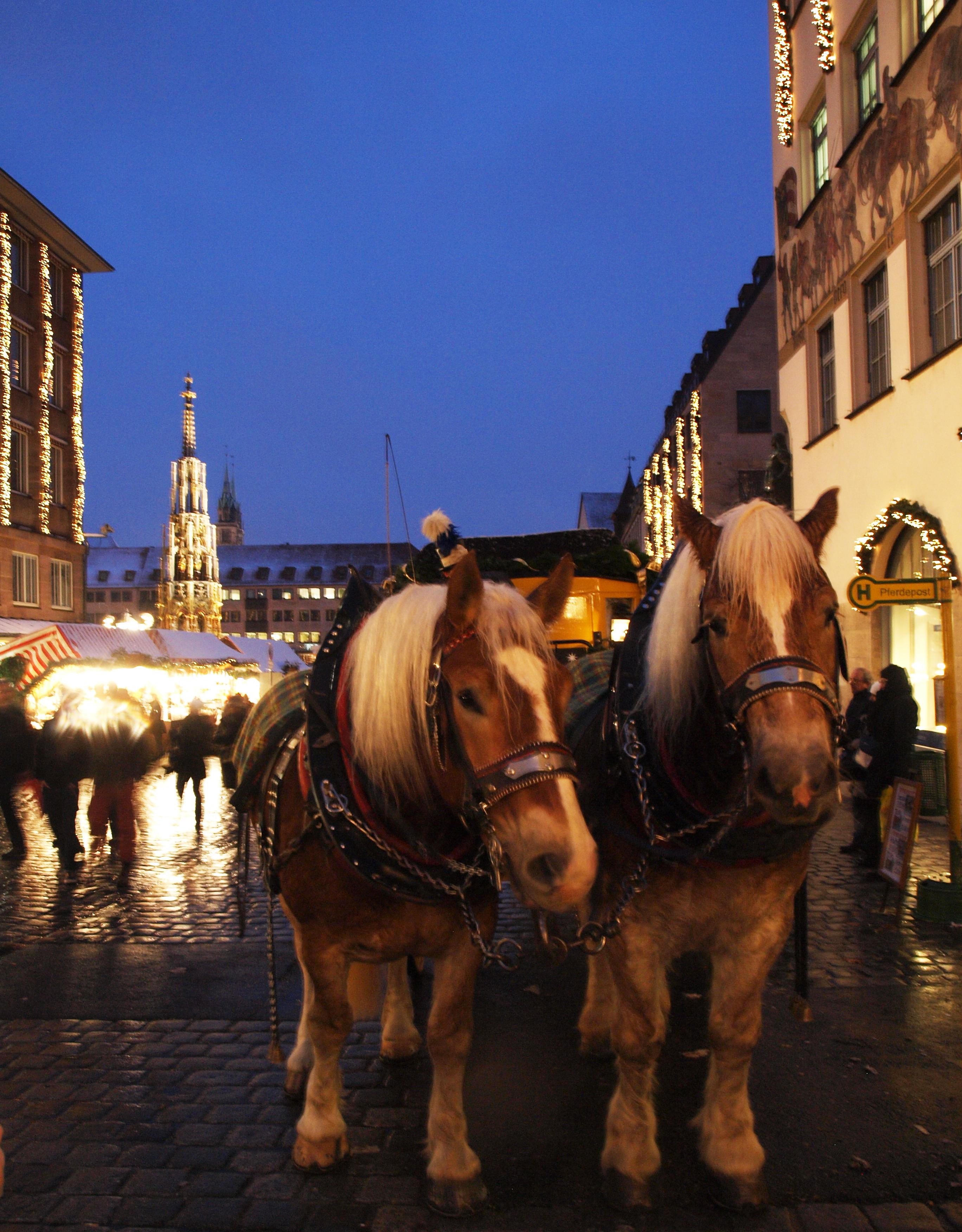 The last horse-drawn carriage in Seattle