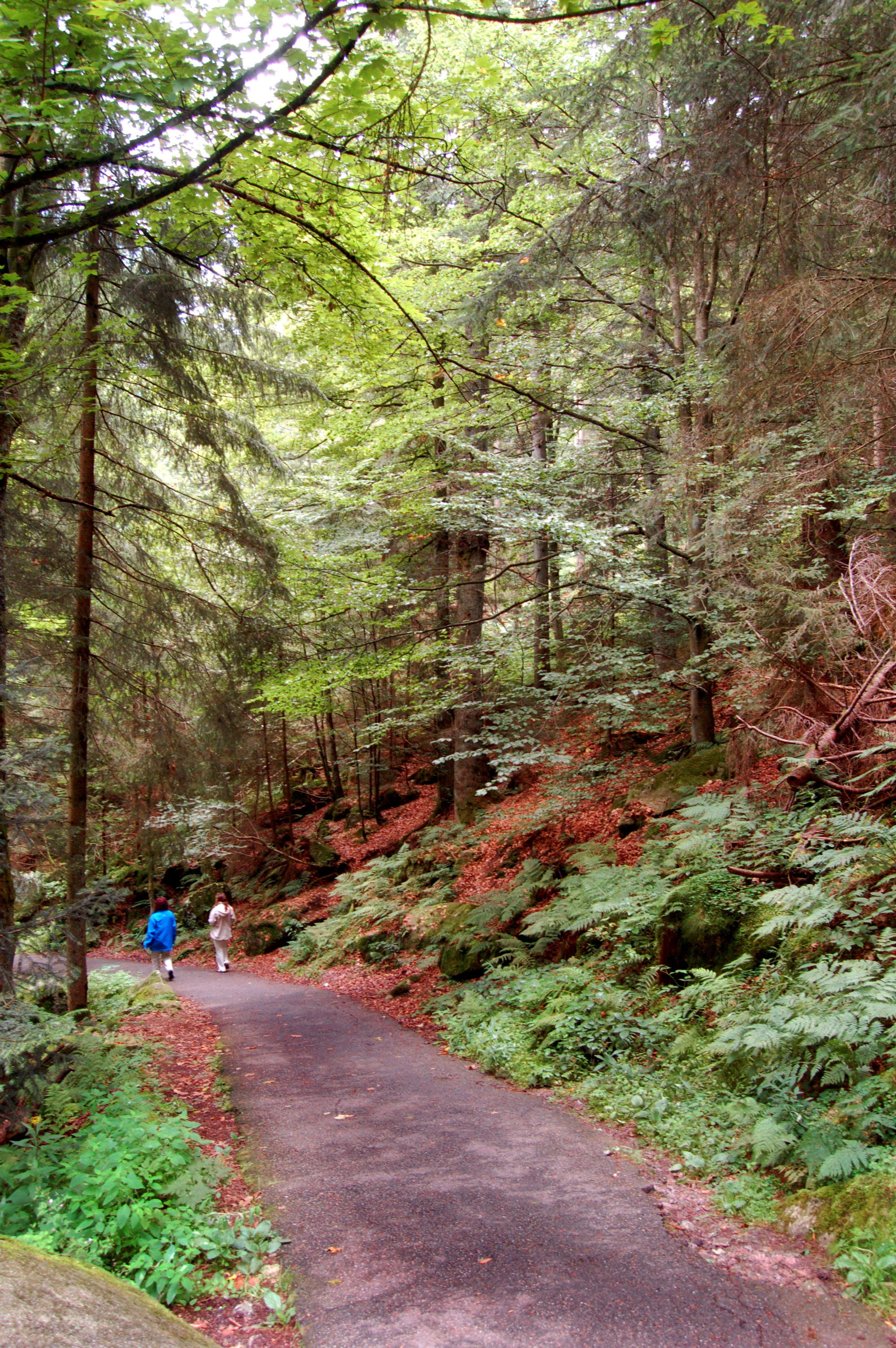 Cascadas de Triberg, por Elena Payà