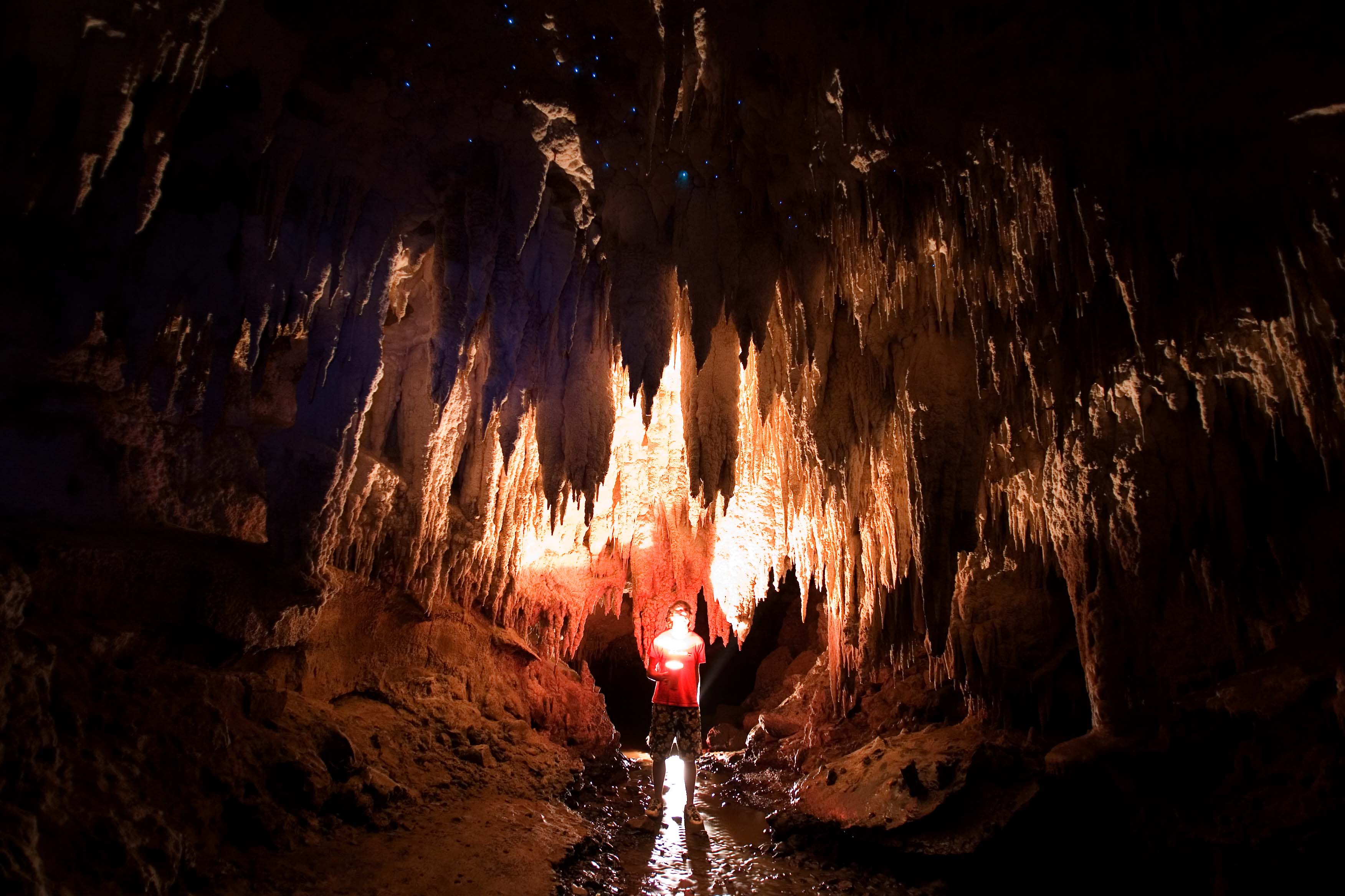 Cueva Nikau, por Guim Valls Teruel