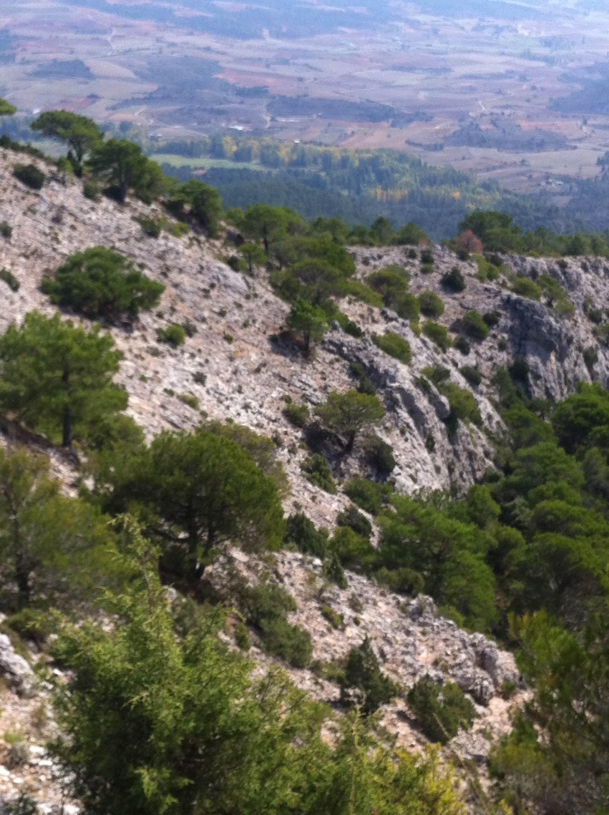 Excursión al Rodenal, por fco albendea