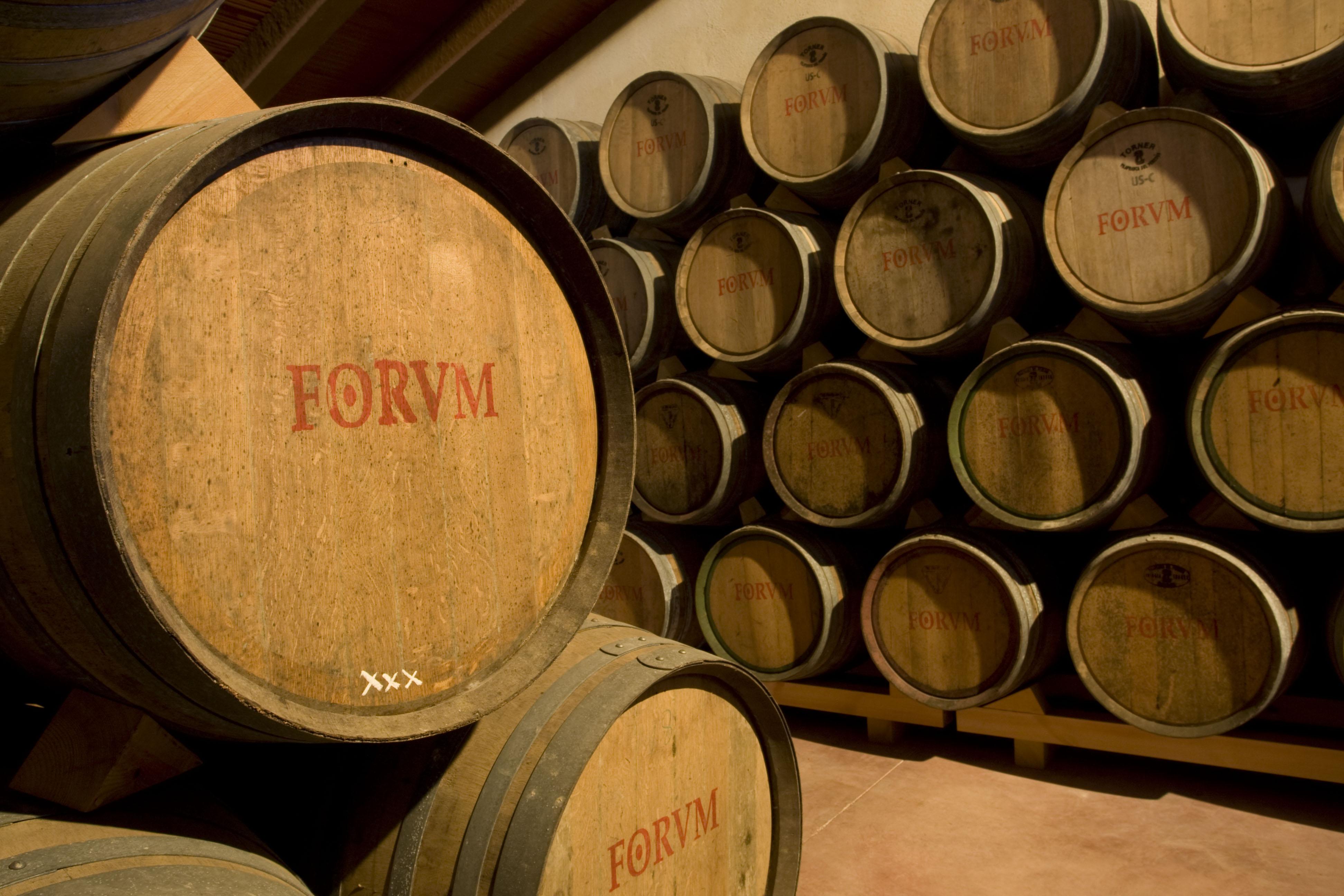 Bodegas Avgvstvs Forvm, por Minube