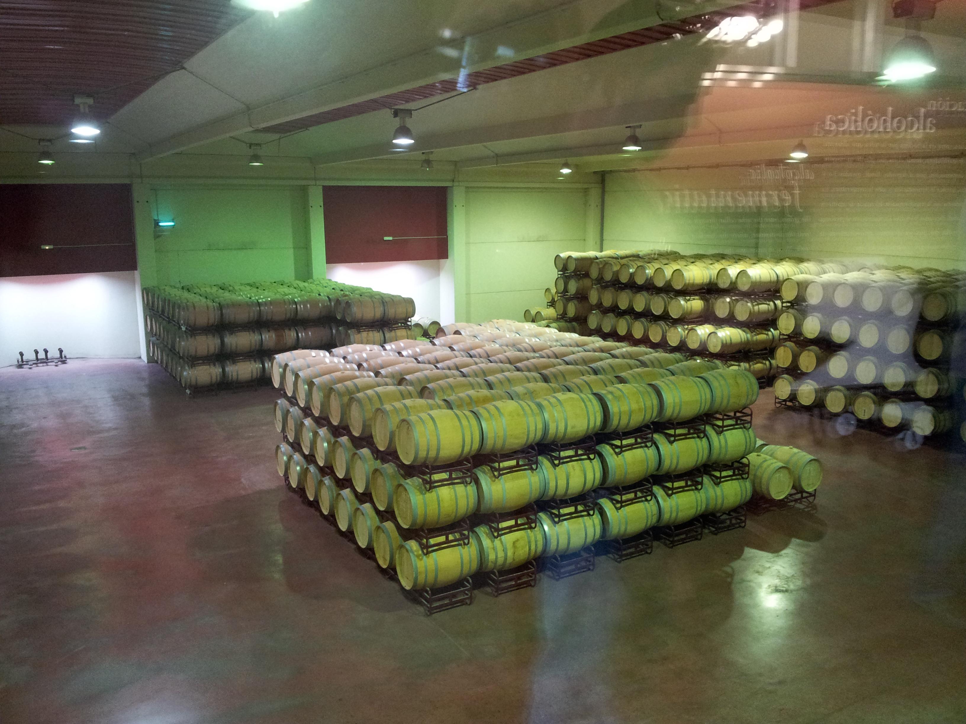 Bodegas Legaris, por Lucia Anaya Morales