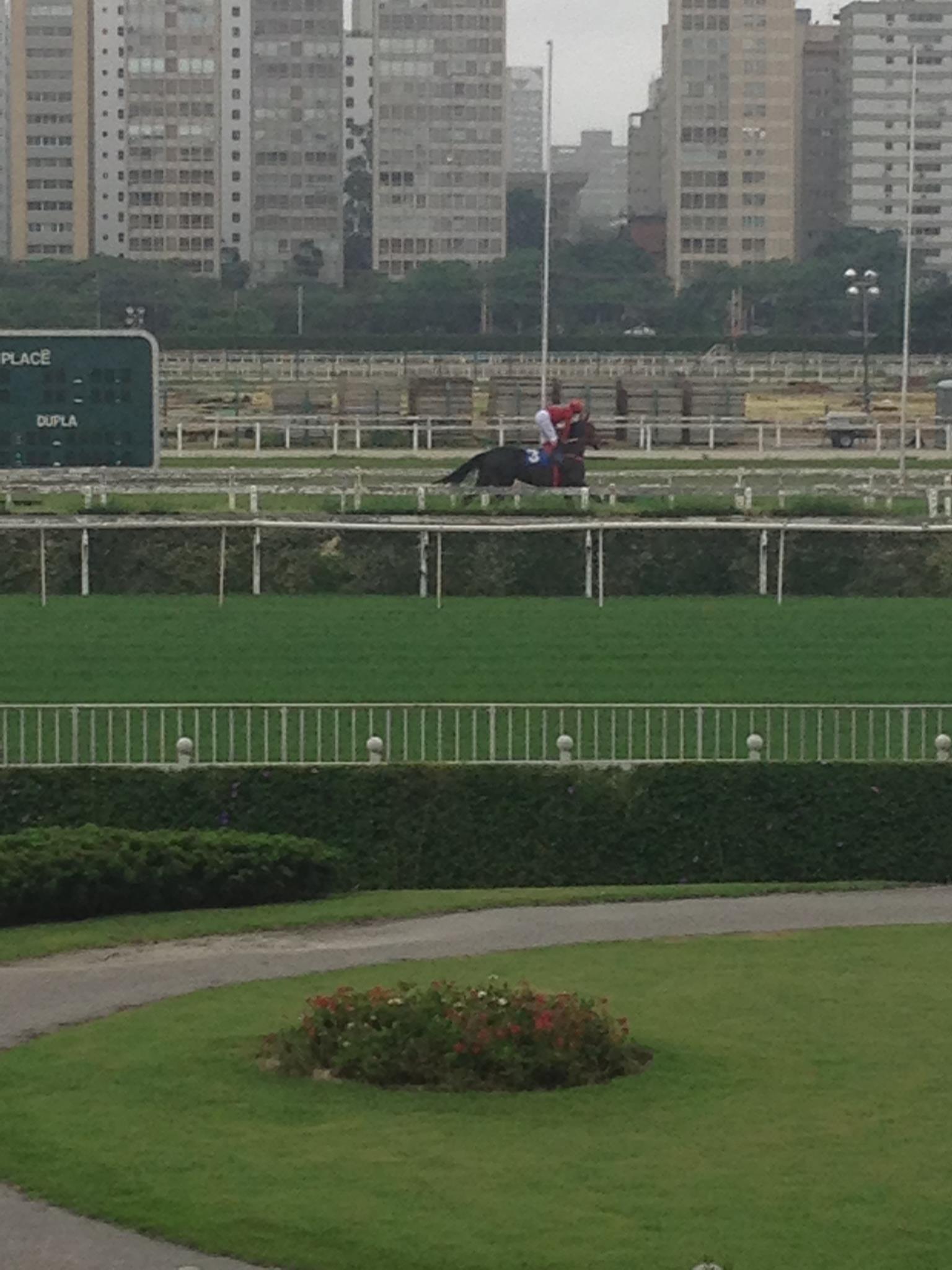 Jockey Club, por Pedro Luiz Rosa