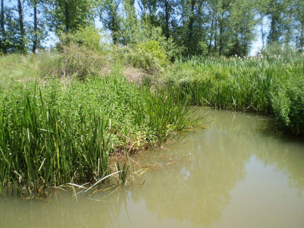 Canal de Castilla: Ruta Ramal Norte, por Gorgonita