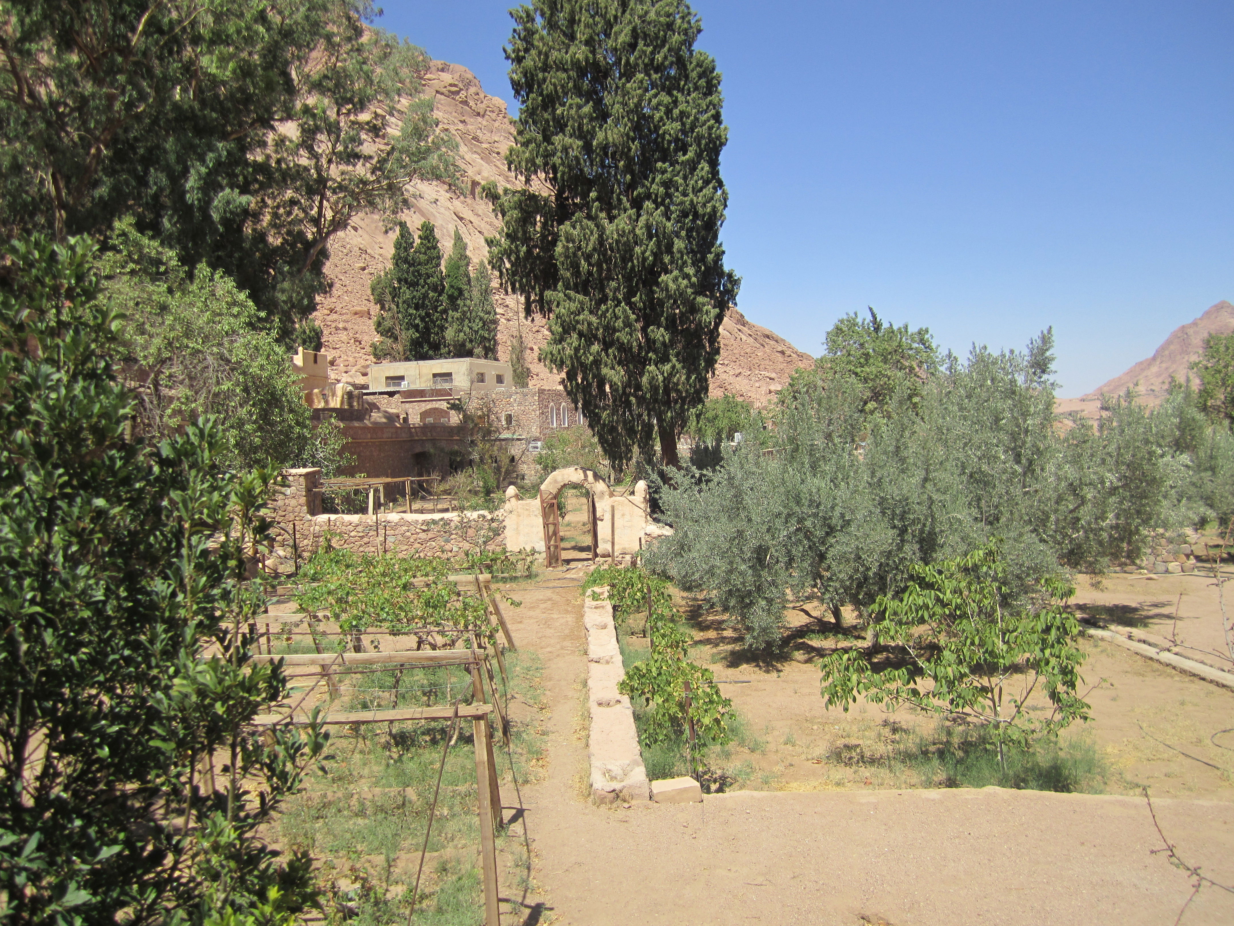 Aire libre en South Sinai: descubre sus impresionantes paisajes naturales