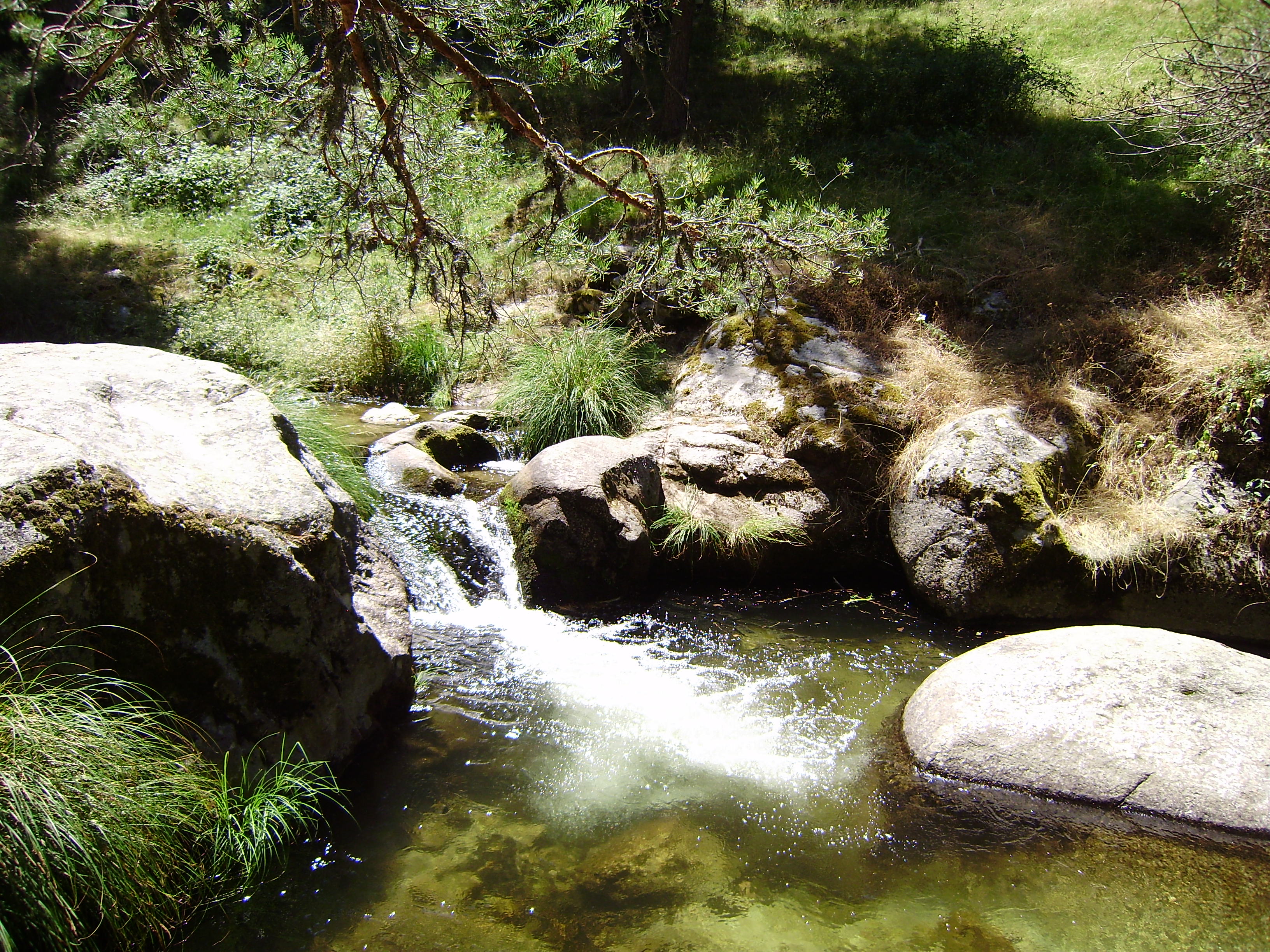 Ruta por el río Eresma, por Saudade