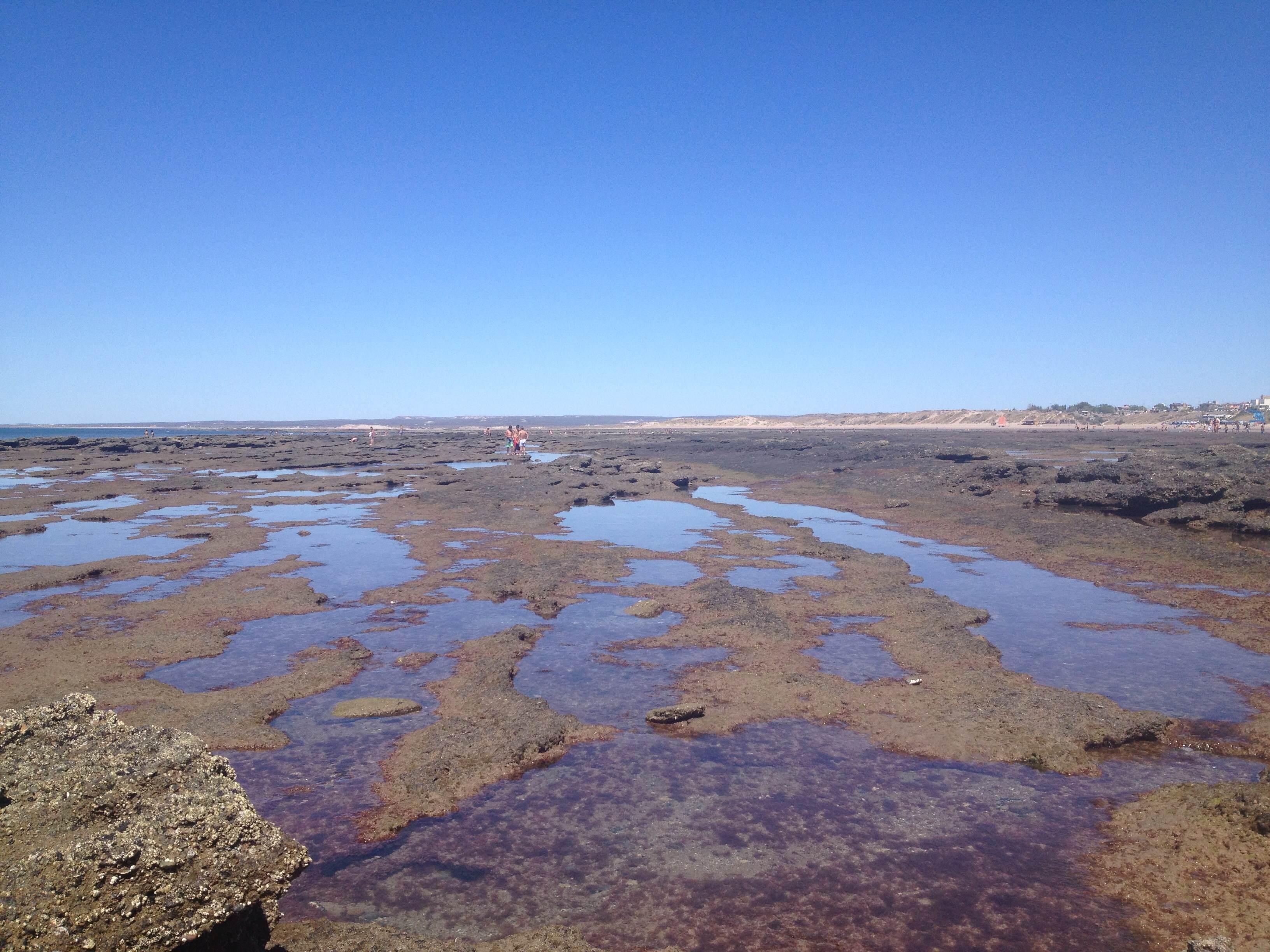 Entretenimiento en Río Negro: aventura y diversión para todos