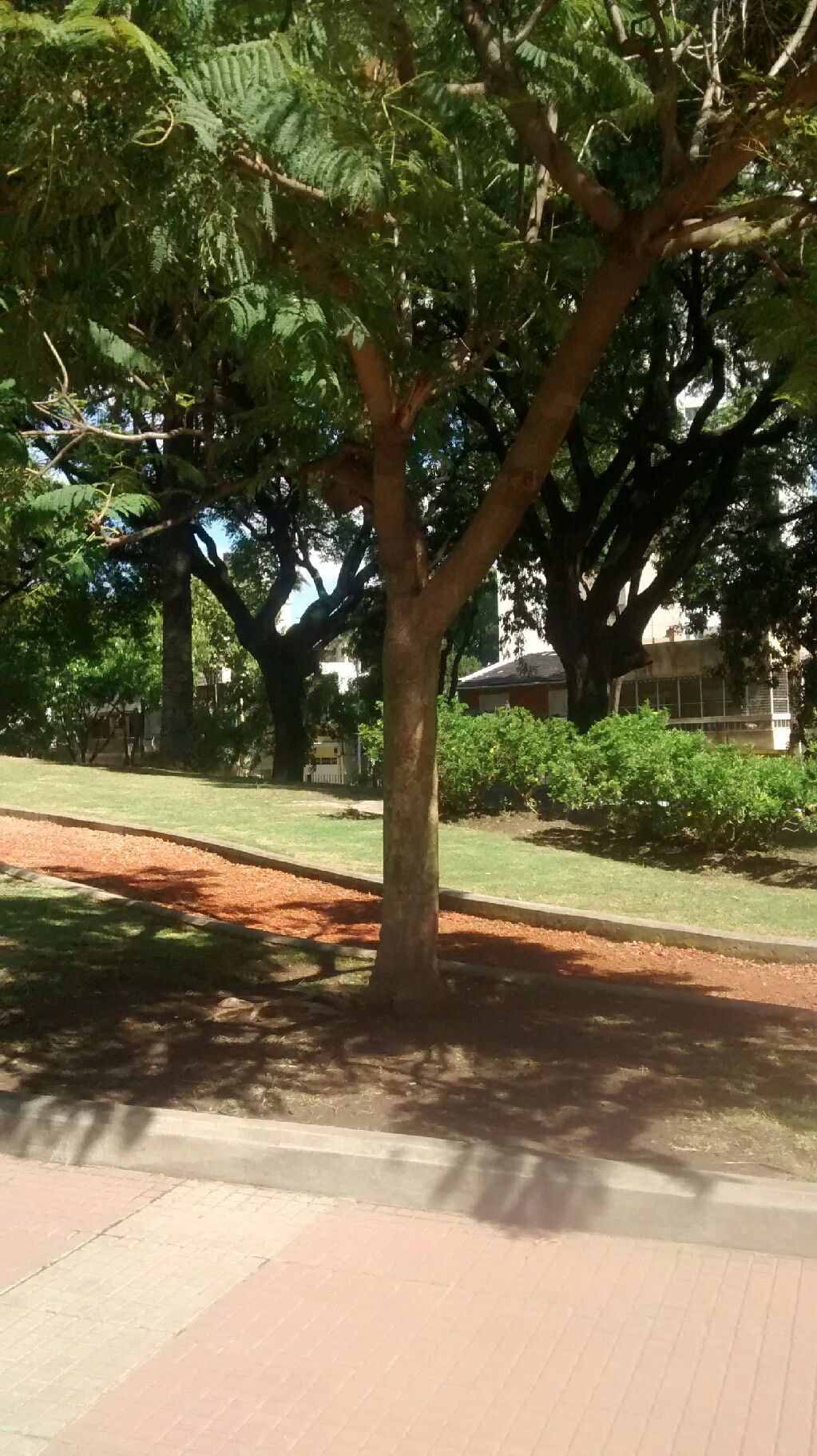 Plaza San Miguel de Garicoits, por Fede Bevilacqua