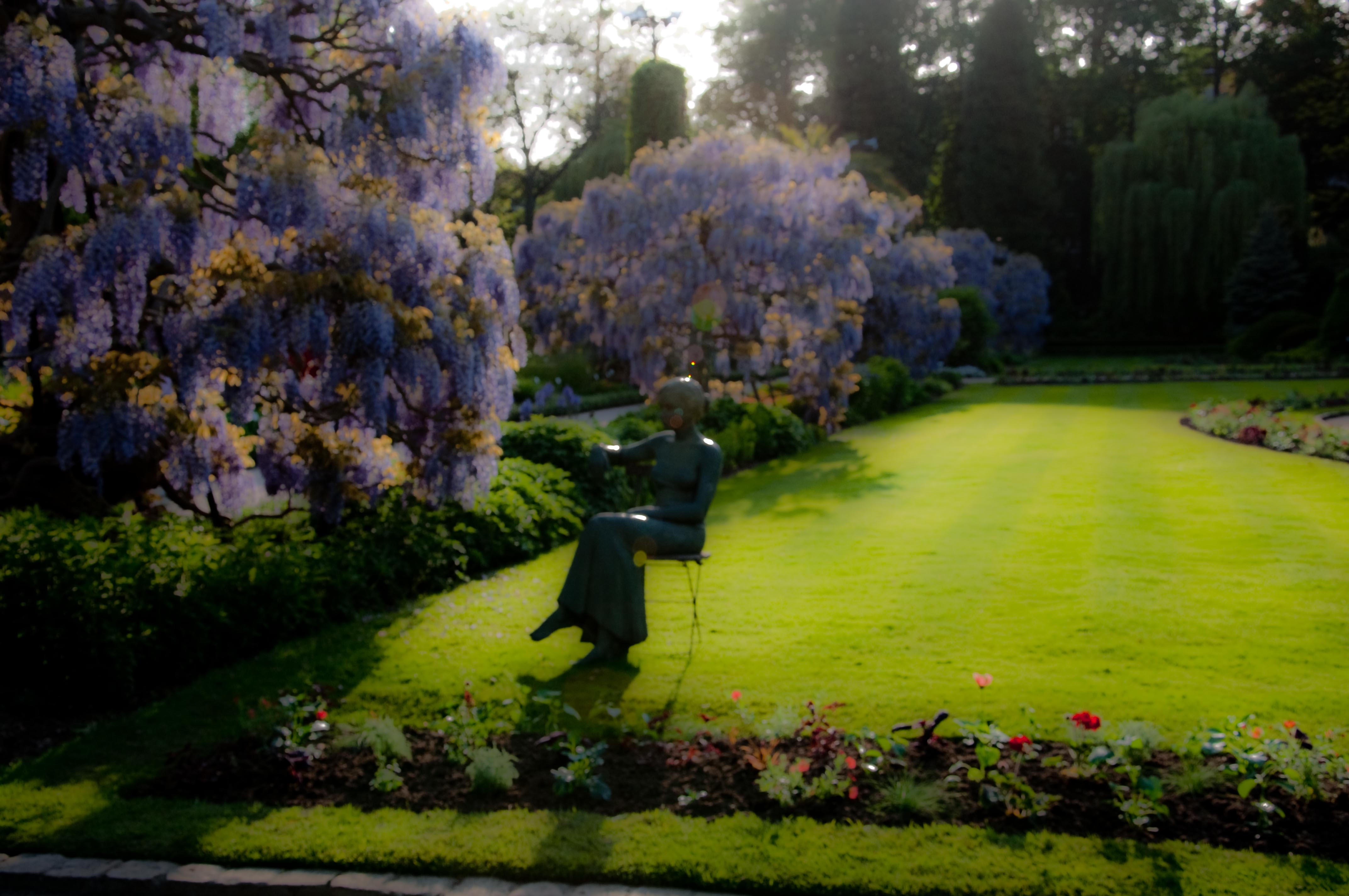 Jardín Botánico, por Pedro Jareño