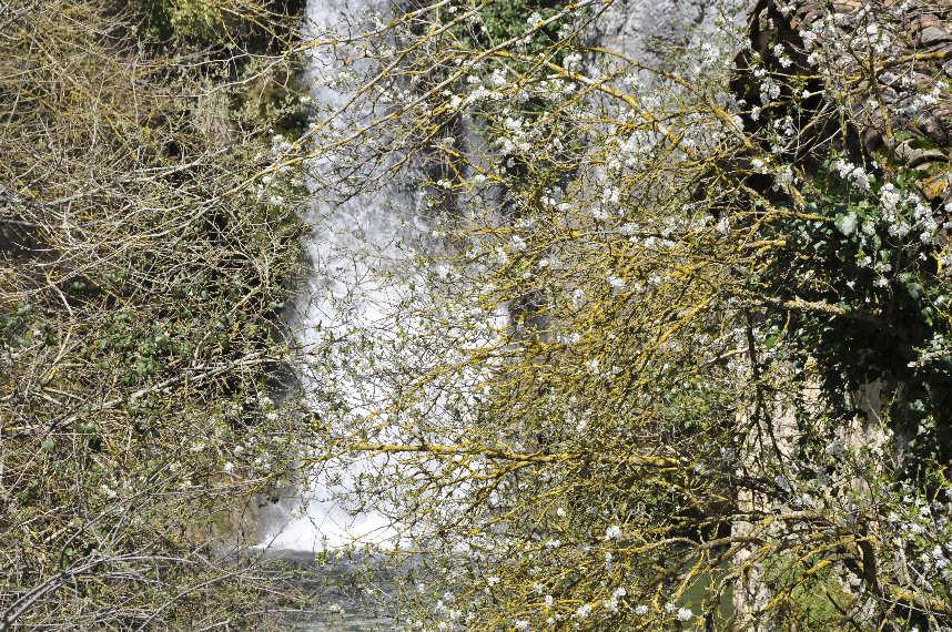 Cascada del Molino de Oteo, por albertoloyo