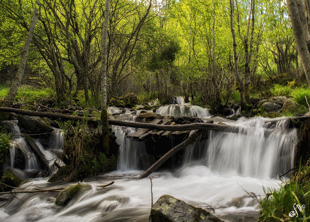 Cascada de la Cueva de San Genadio, por Elsa Fernandez Prado