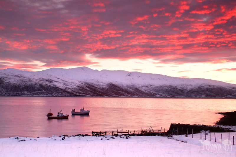 Kvaløyvågen, por Ainara Garcia