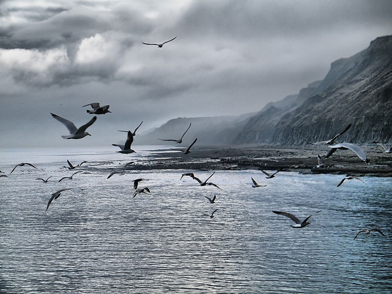 Port en Bessin, por inza