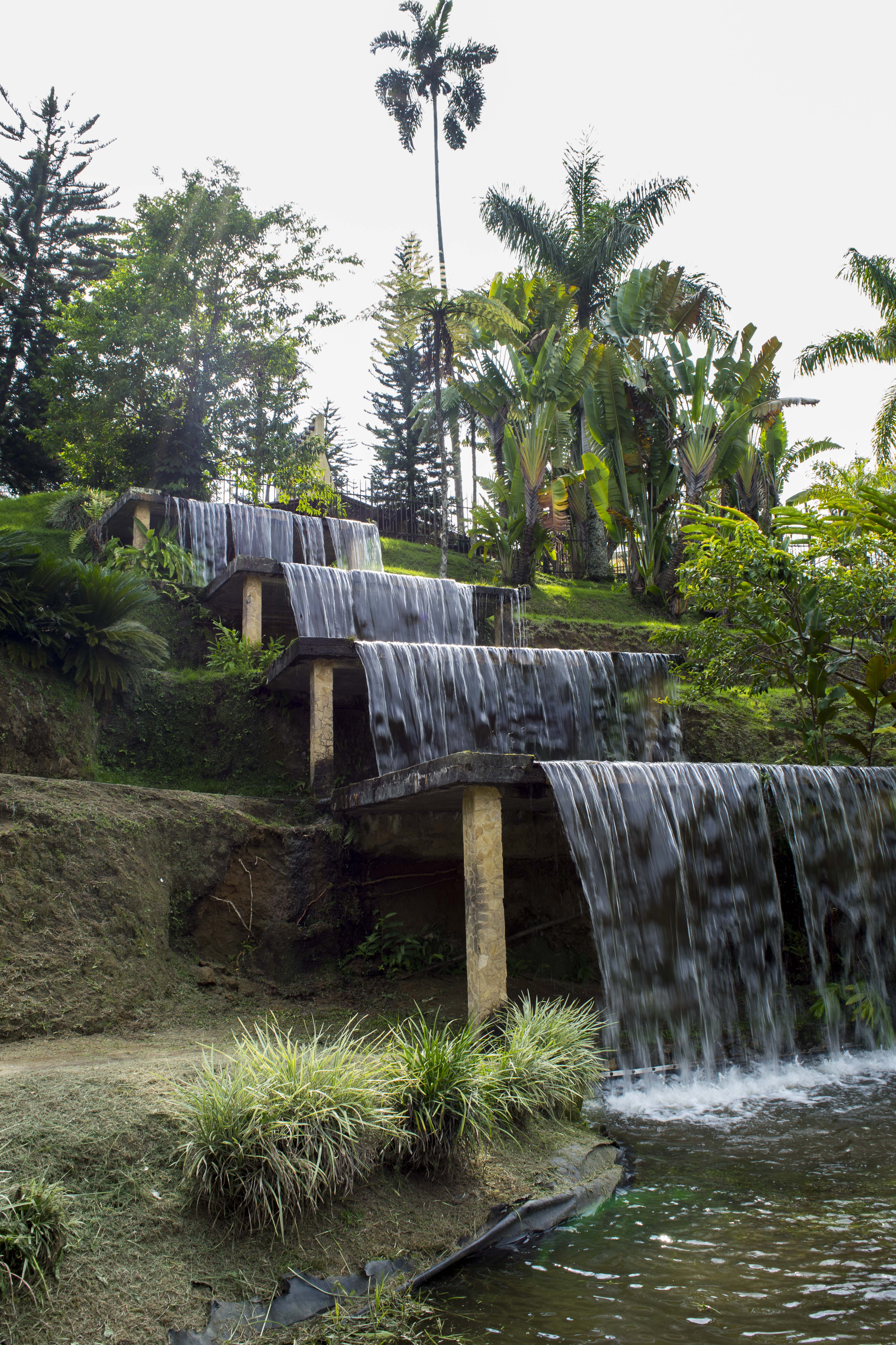 Parque de La Vida, por Mauricio Toro