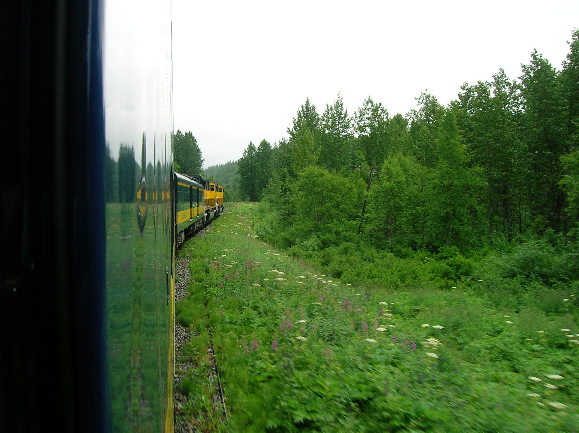 Tren a Fairbanks, por Grace Anderson
