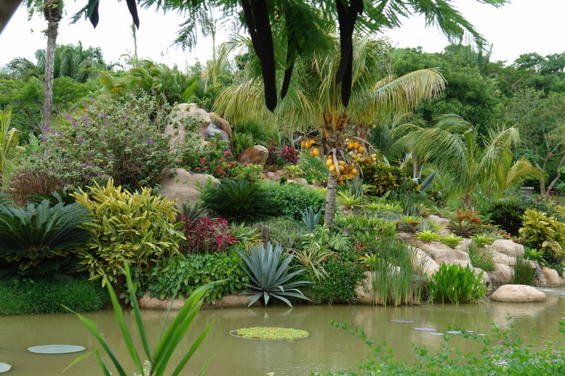 Jardines la Rinconada, por Oscar Wilde Castillo Valenzuela