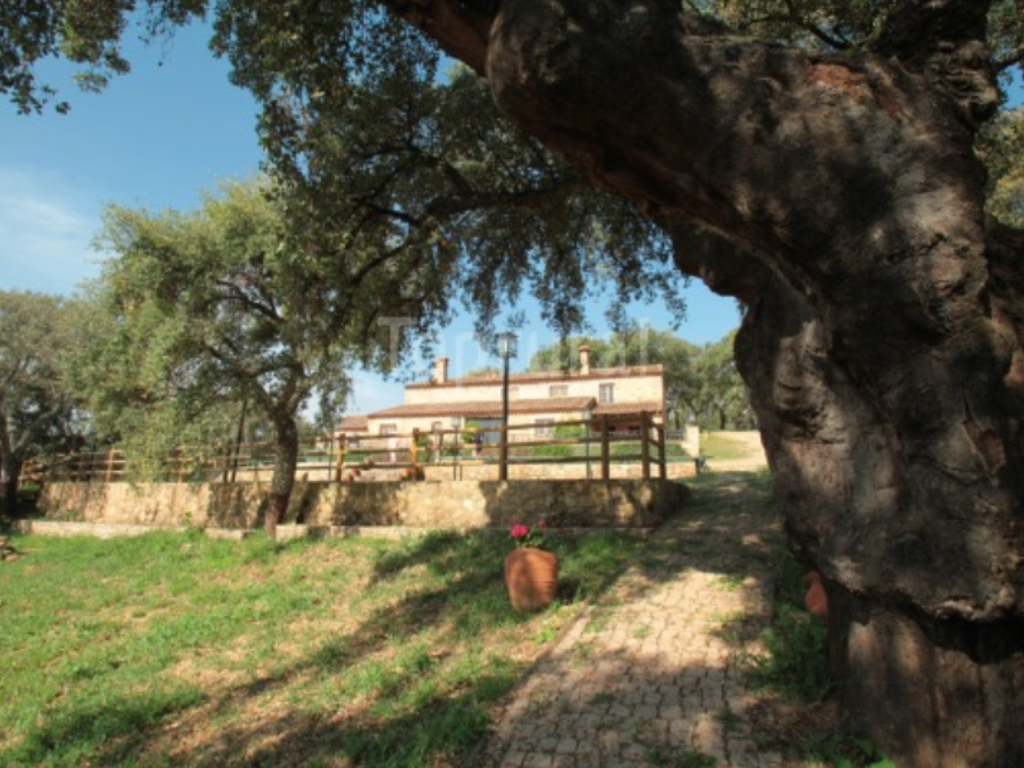 Casa Rural La Macera, por El propietario